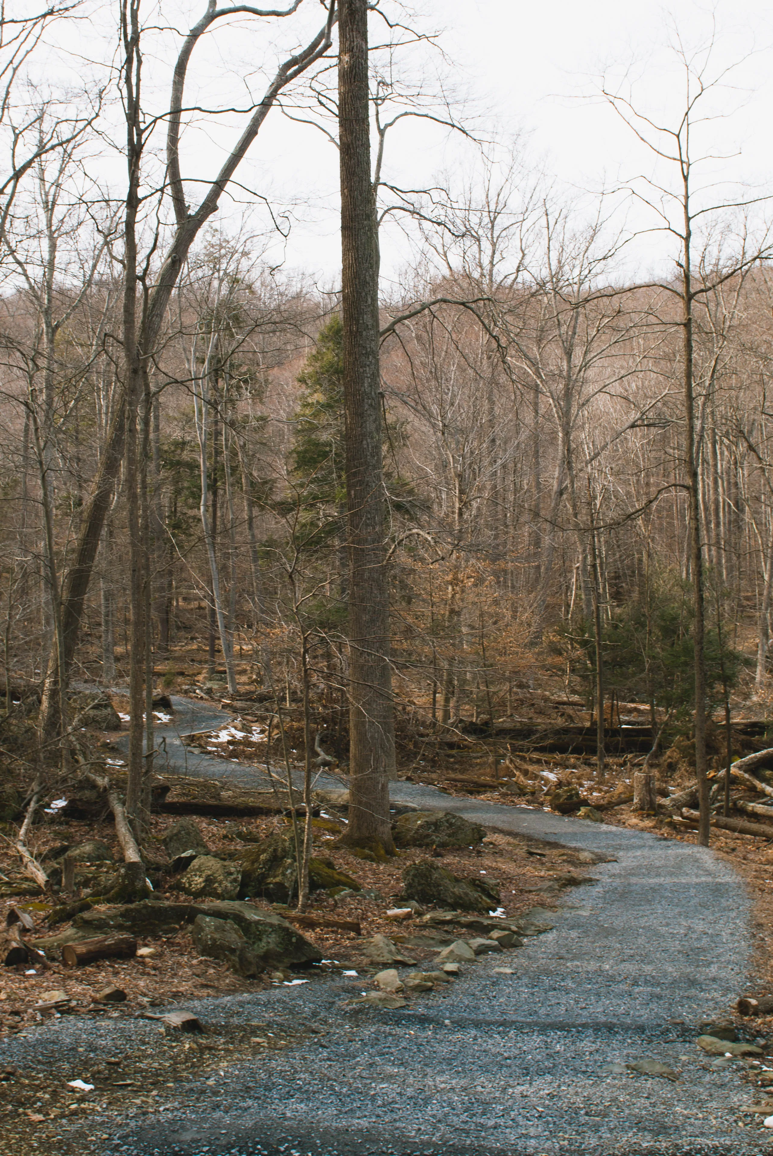 Cunningham Falls via Lower Trail