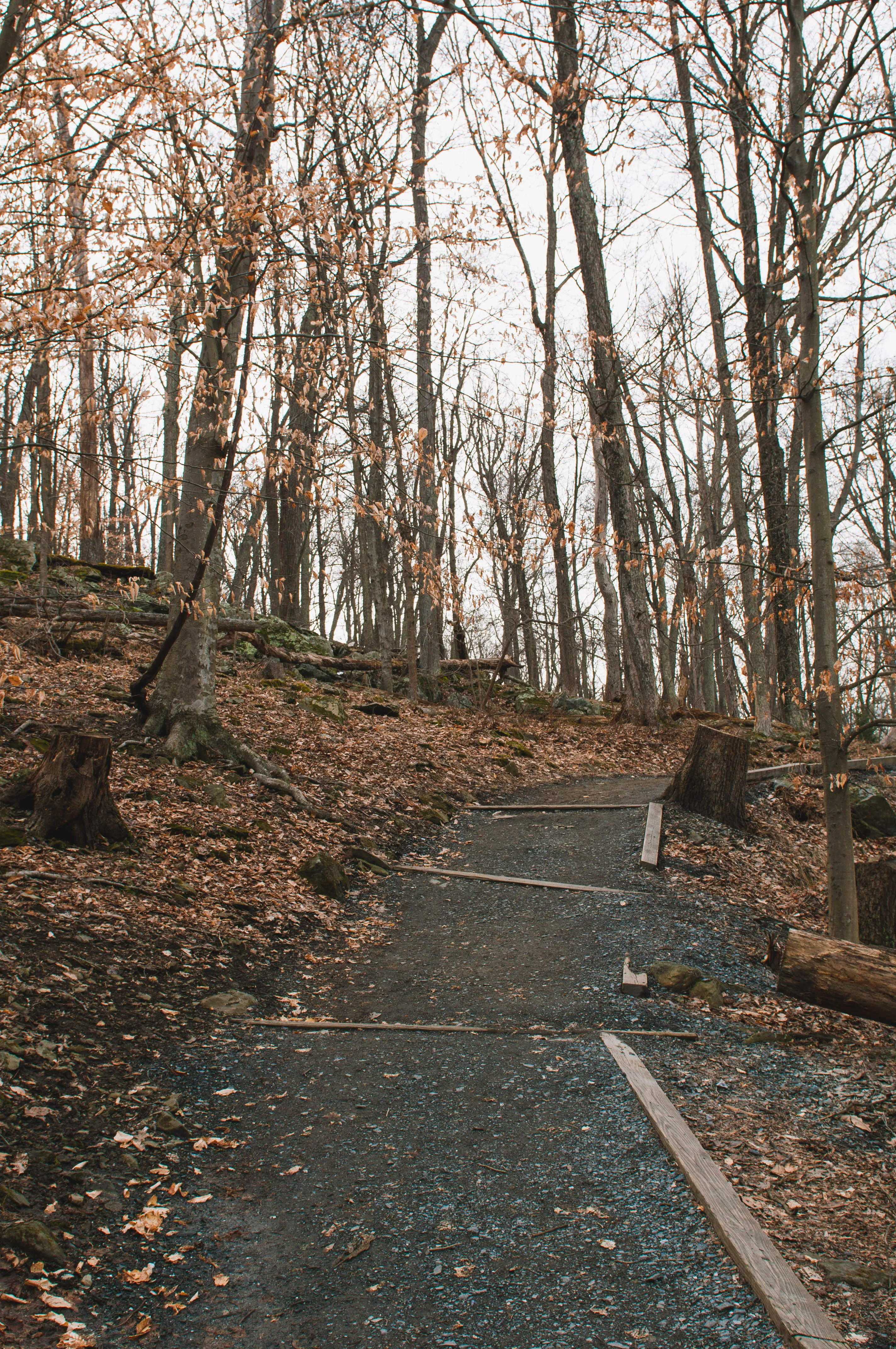 Cunningham Falls via Lower Trail