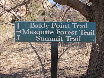 Climb at Quartz Mountain - Baldy Point