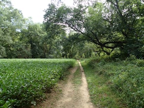 Creekside and Brandywine Valley Trail Loop