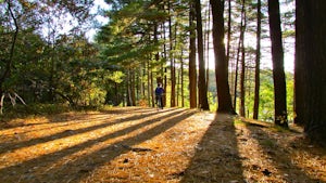 Hike Southern Middlesex Fells Loop