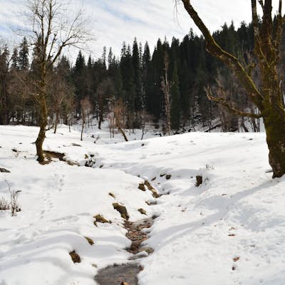 Winter Trek to Kedarkantha Summit