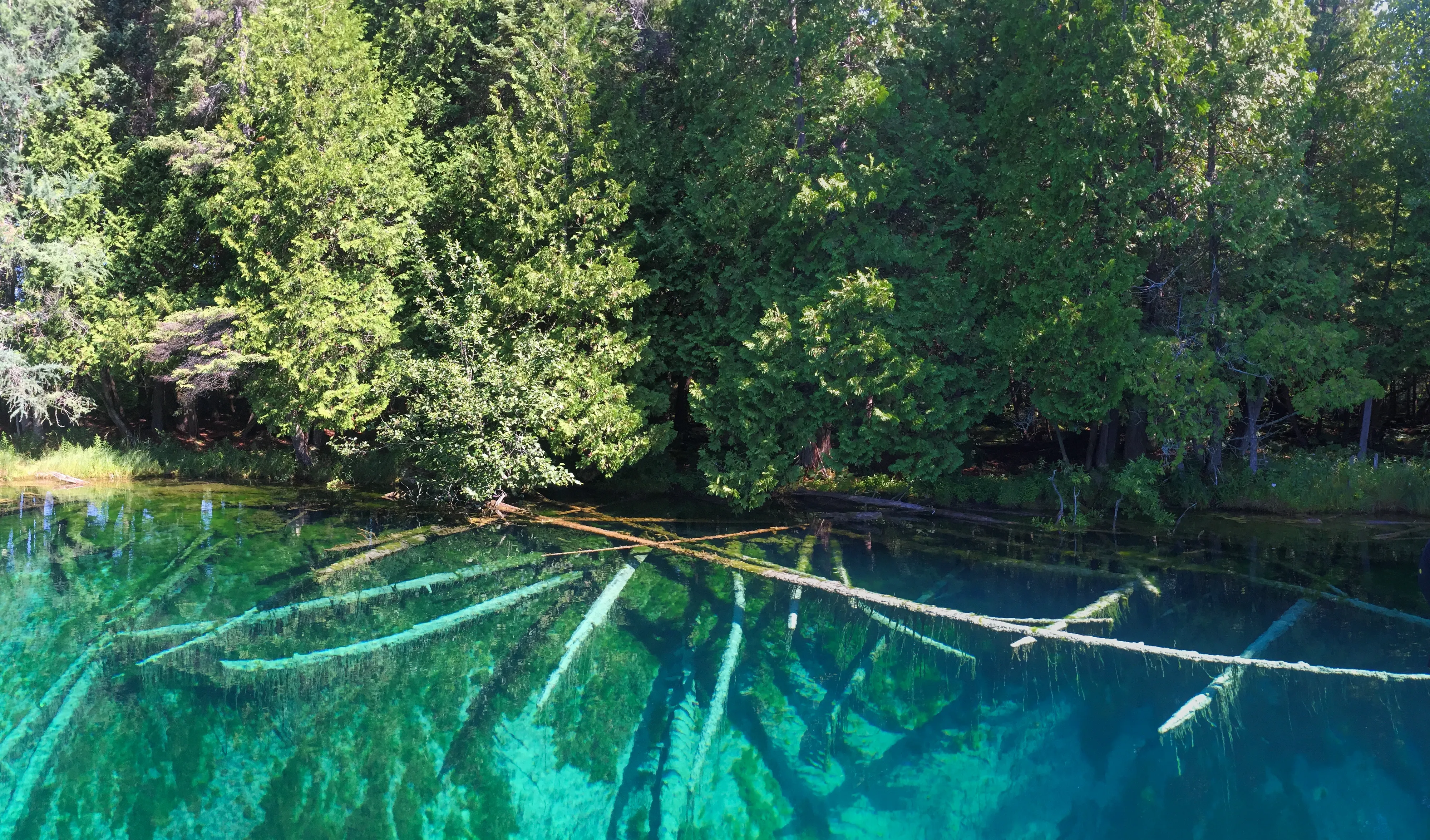 Explore Kitch-iti-kipi ("Big Springs")