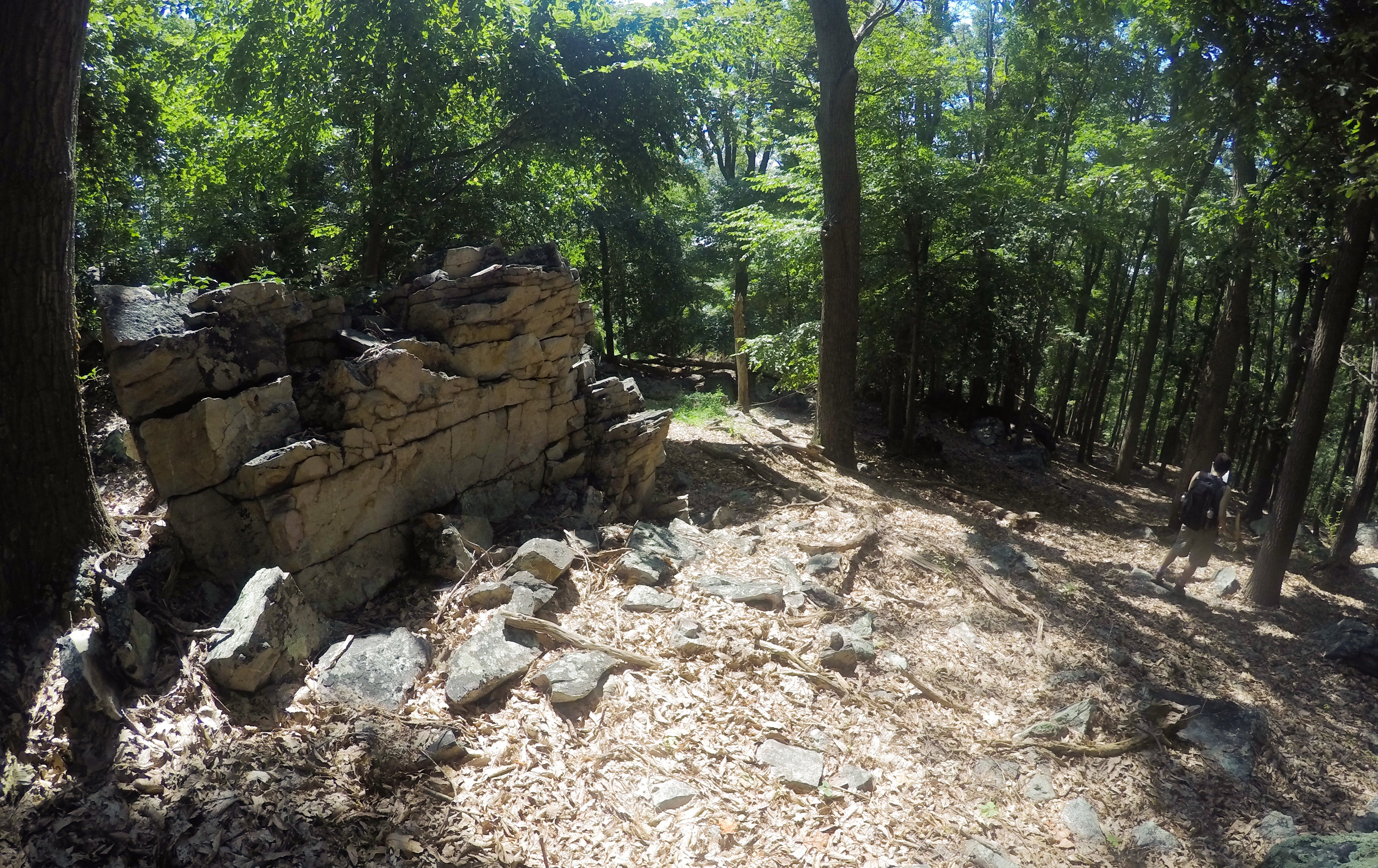 Hike Catoctin Mountain 