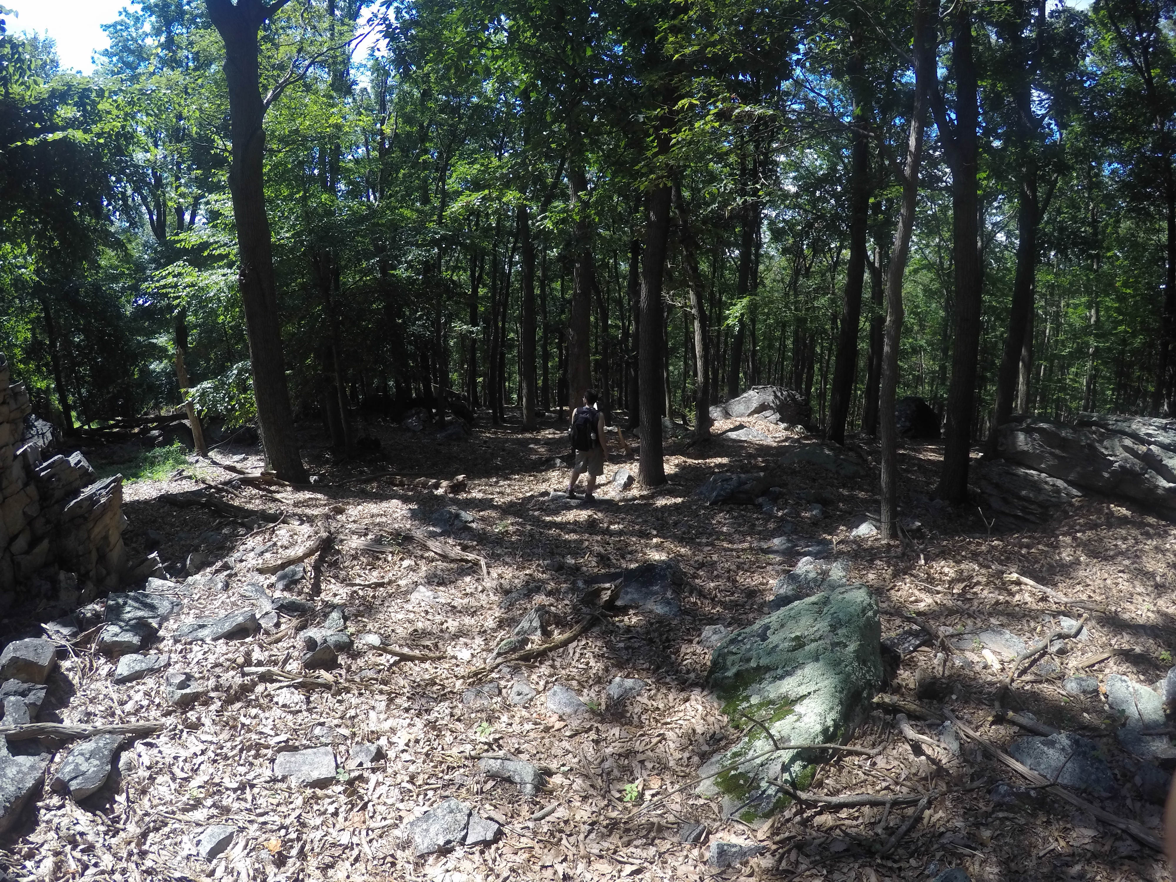 Hike Catoctin Mountain 