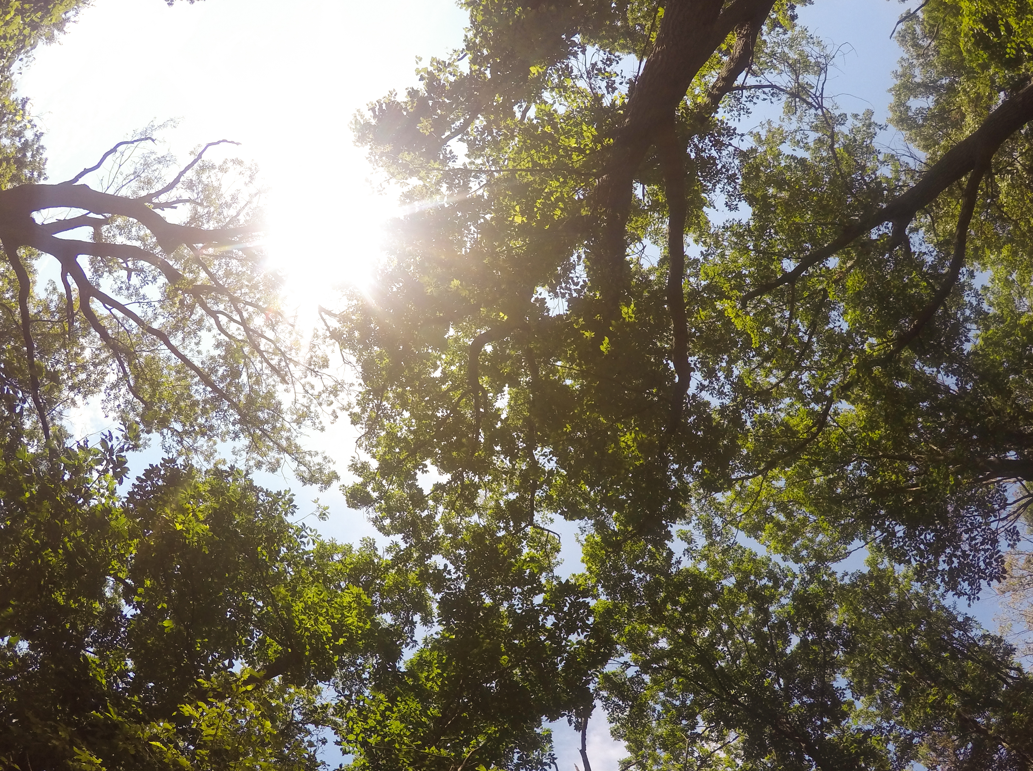 Hike Catoctin Mountain 