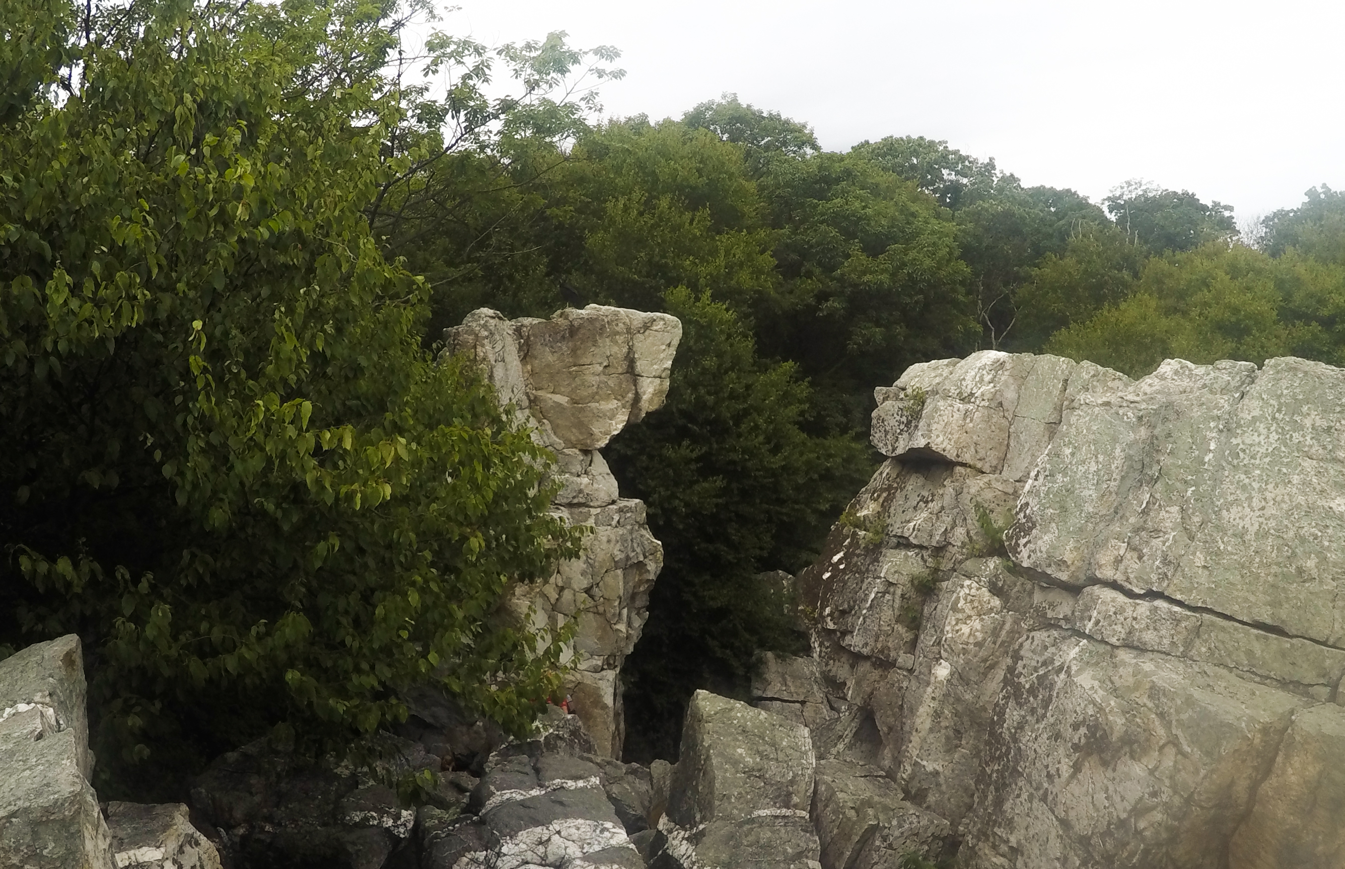 Hike Catoctin Mountain 