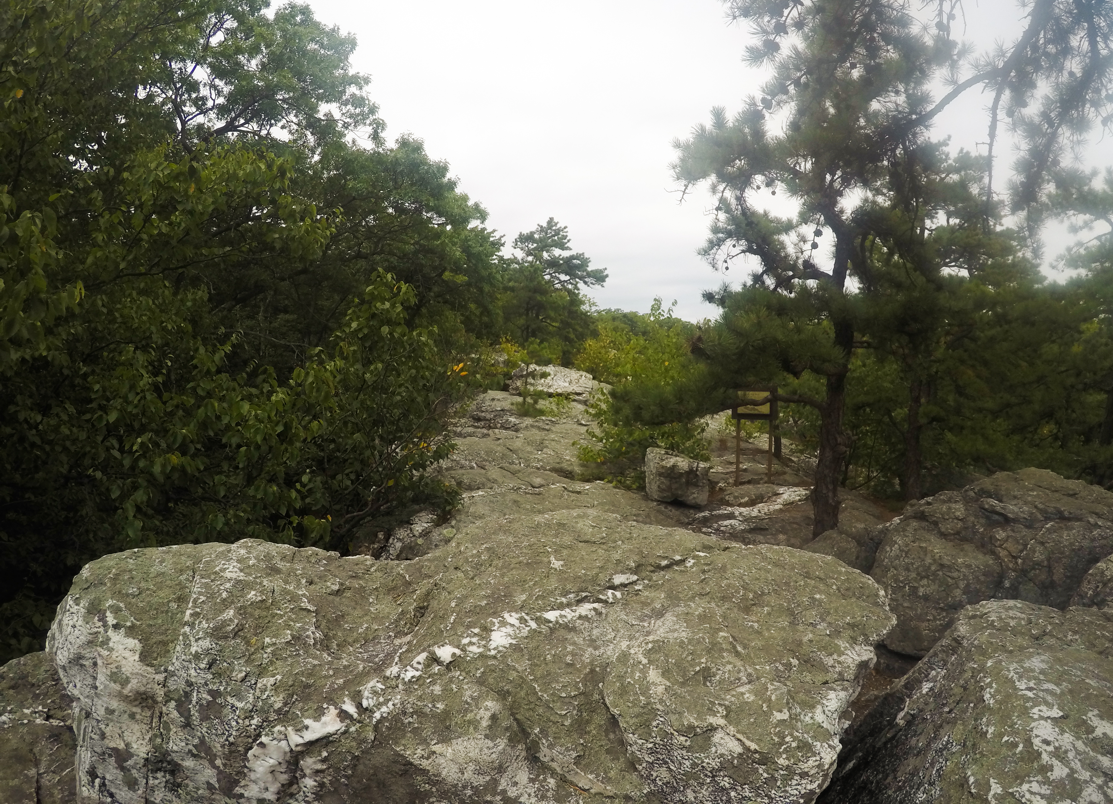 Hike Catoctin Mountain 