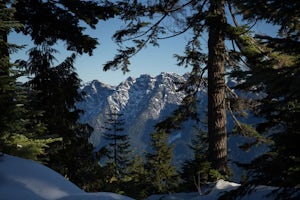 Snowshoe Hollyburn Mountain