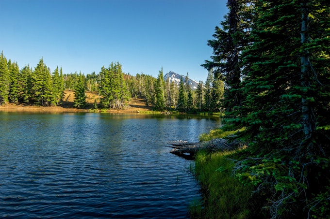 On a clear, sunny day the lake sits calmly and is surrounded by tall pine trees