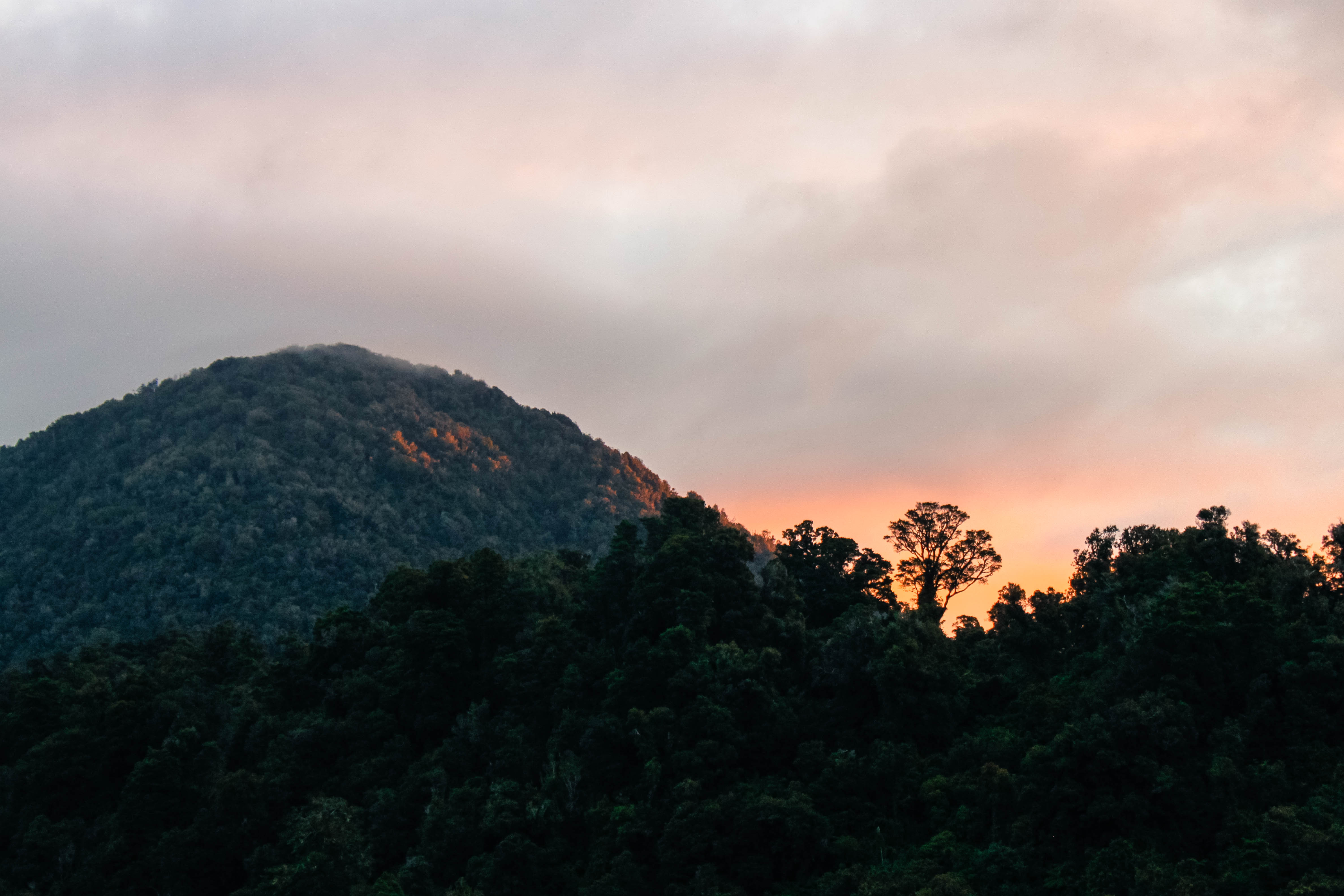 Watch the Sunset from the Waiho River Bridge