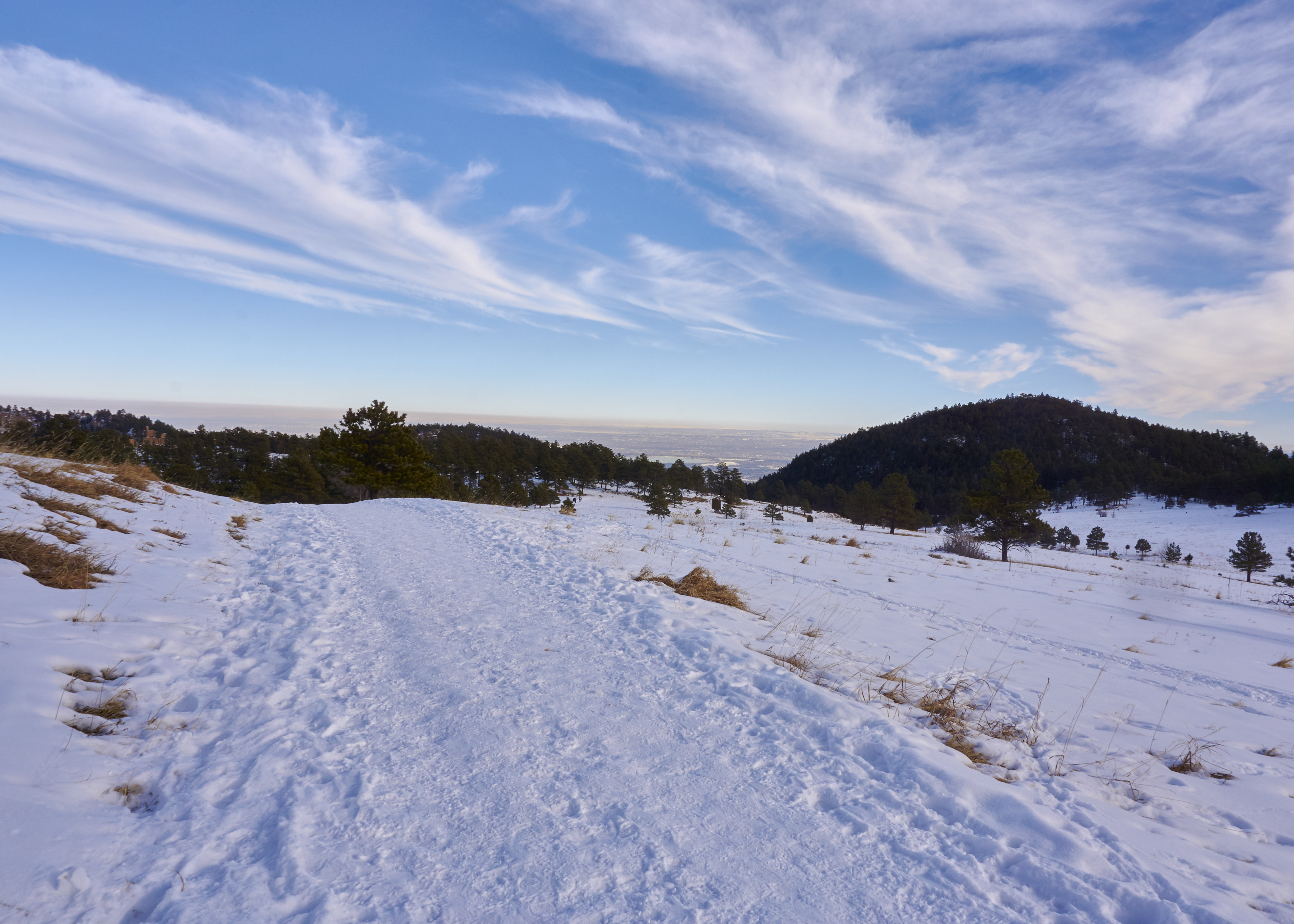 Mount Falcon Loop