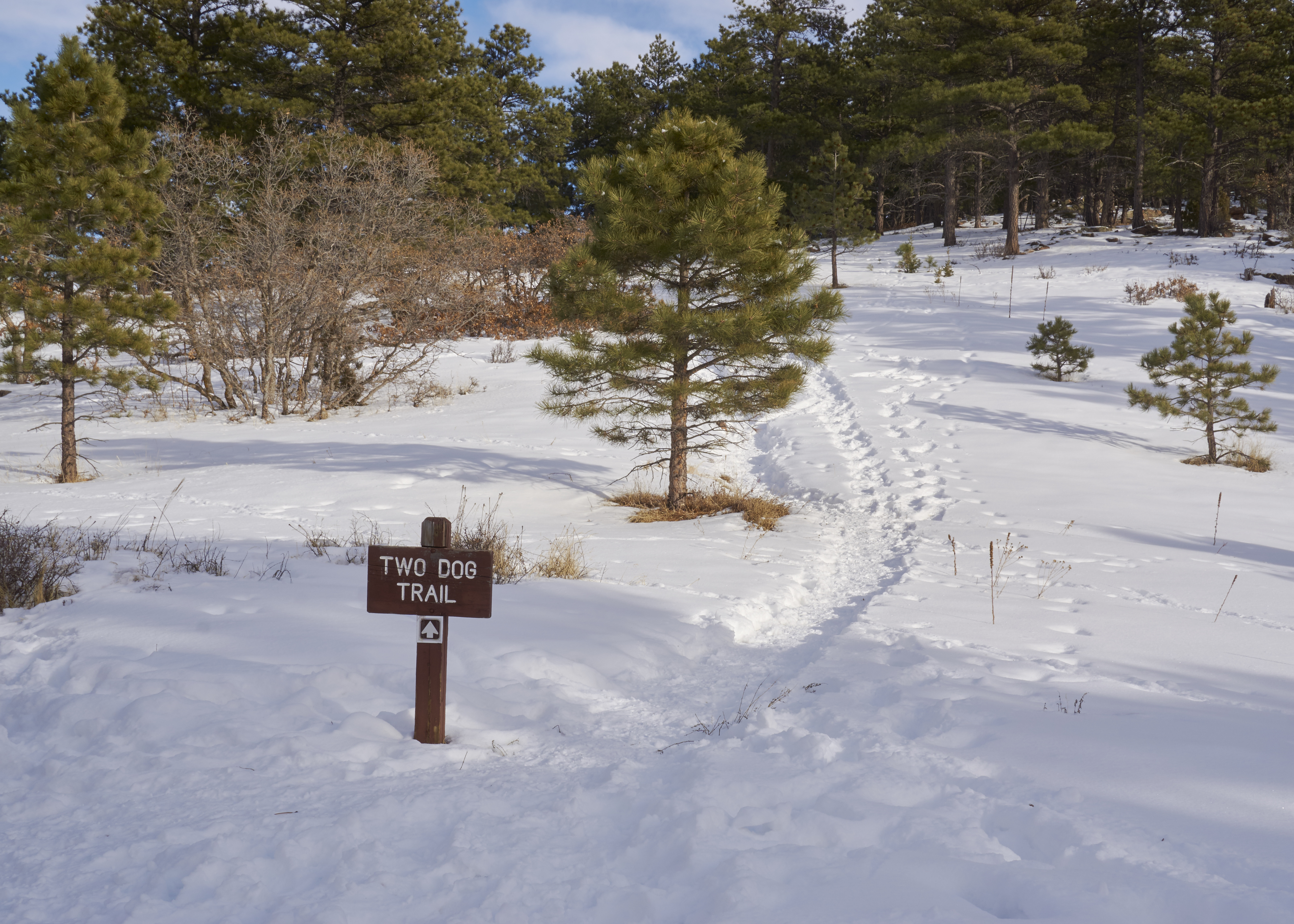 Mount Falcon Loop