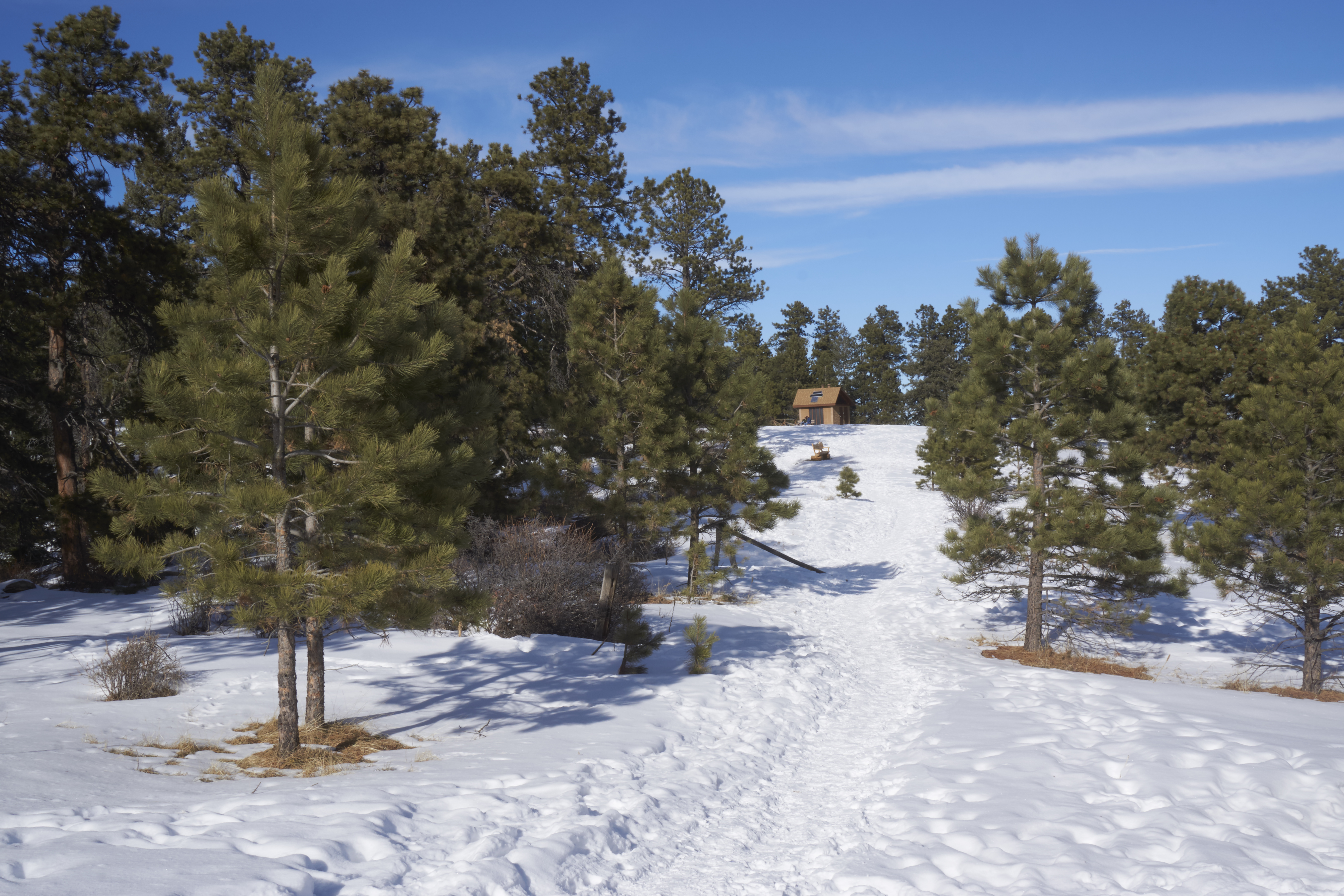 Mount Falcon Loop