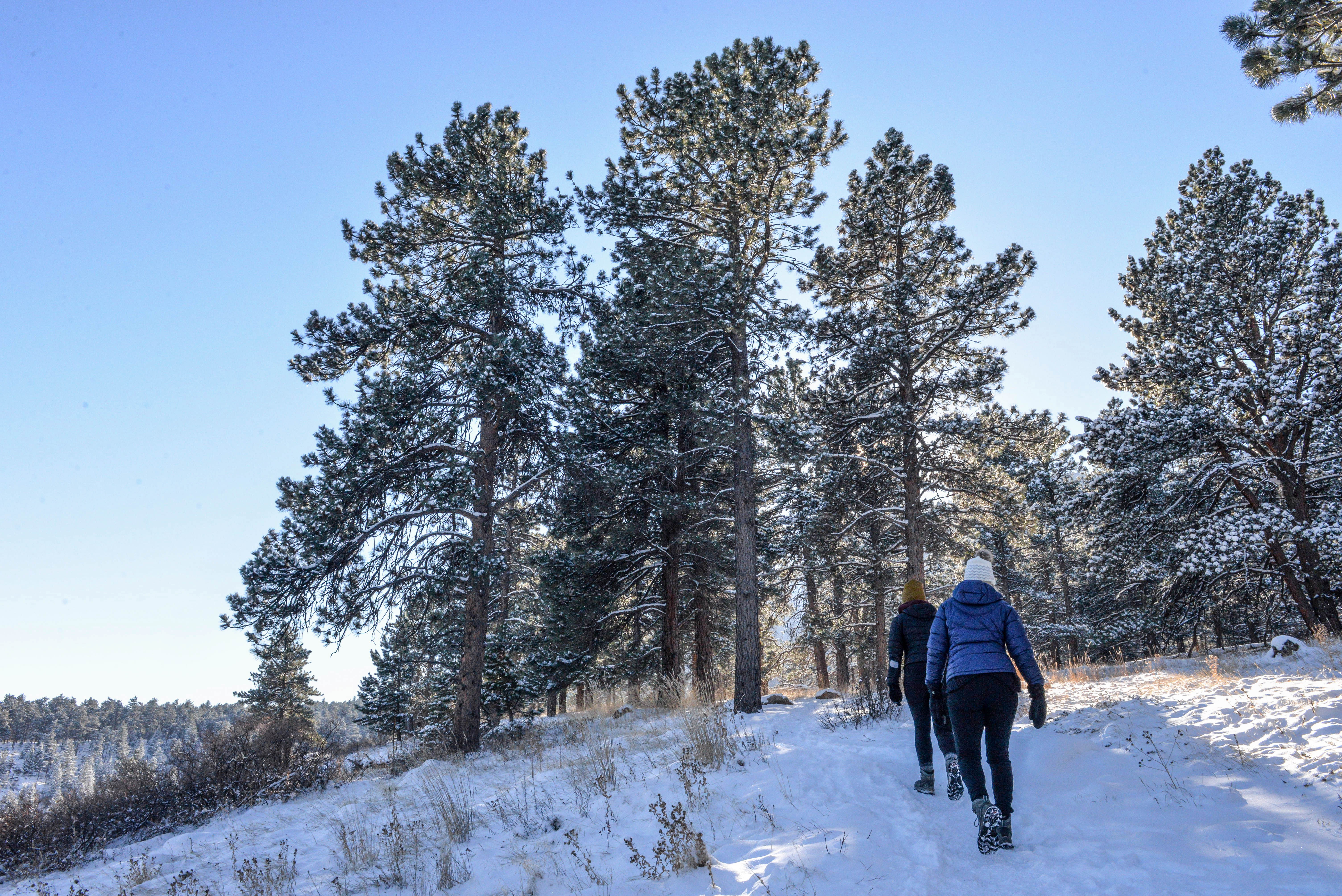 Hike the Enchanted Mesa Trail