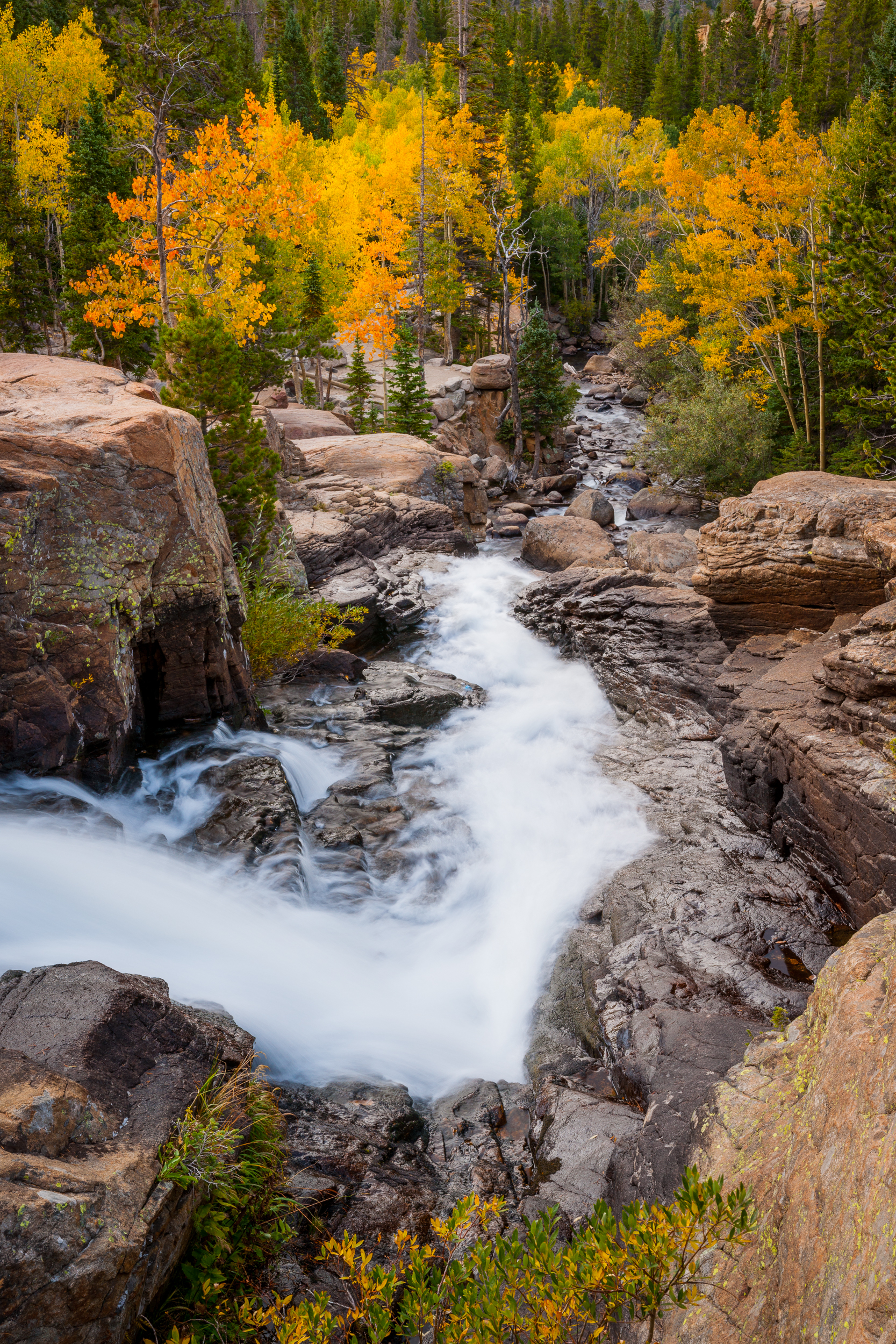 Alberta Falls Trail