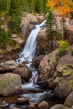 Alberta Falls Trail