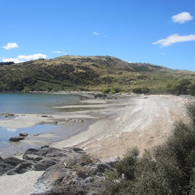 Glendhu Bay Track (Te Araroa)