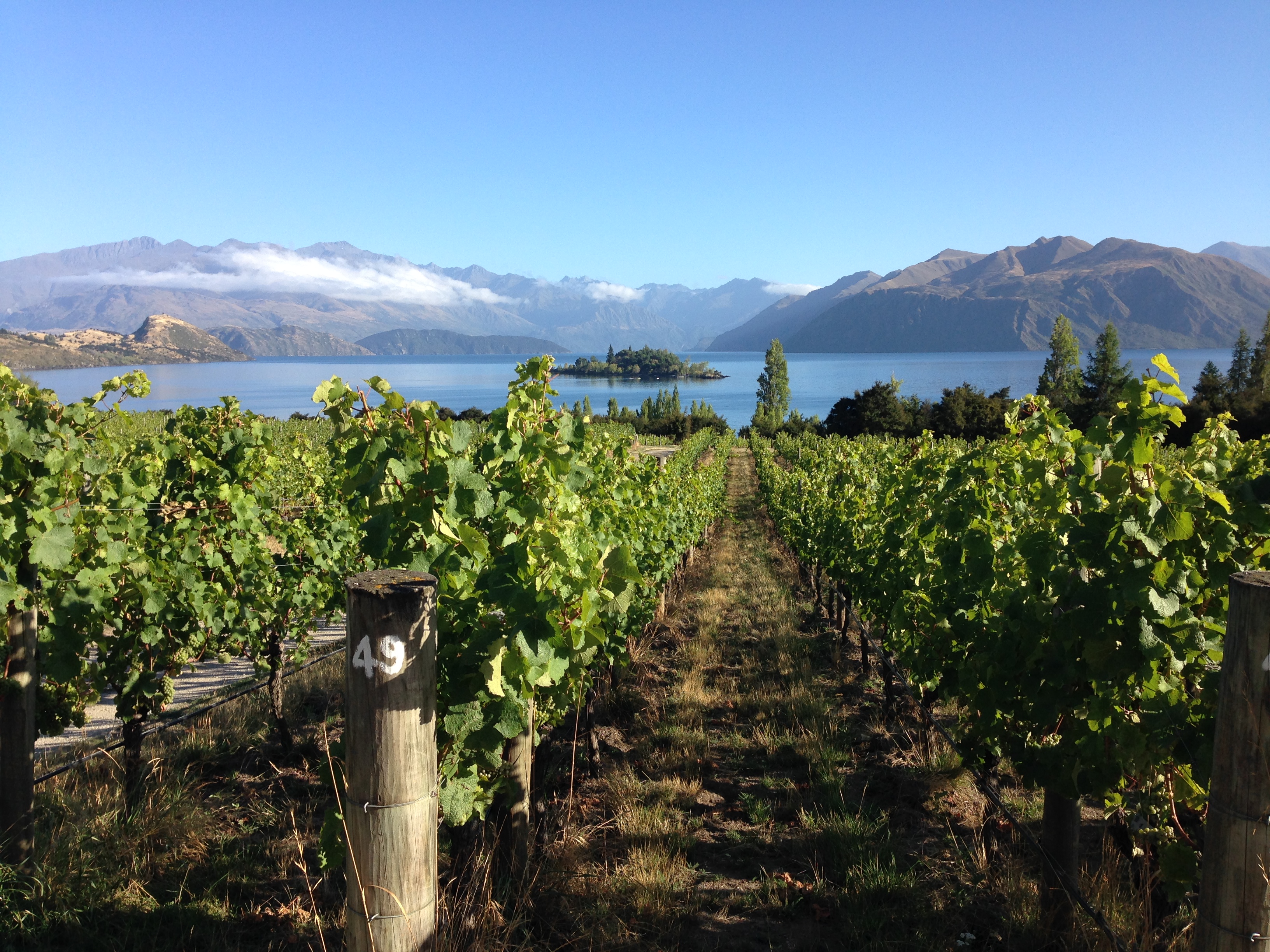 Hike along Wanaka's Waterfall Creek Track