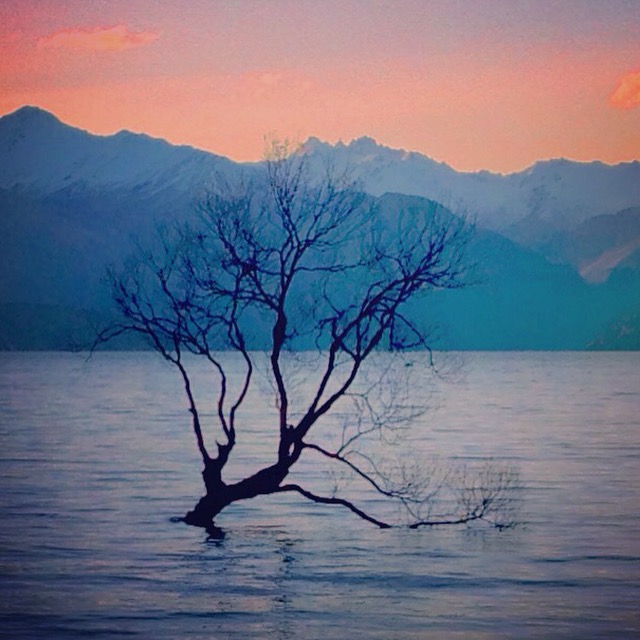 Hike along Wanaka's Waterfall Creek Track