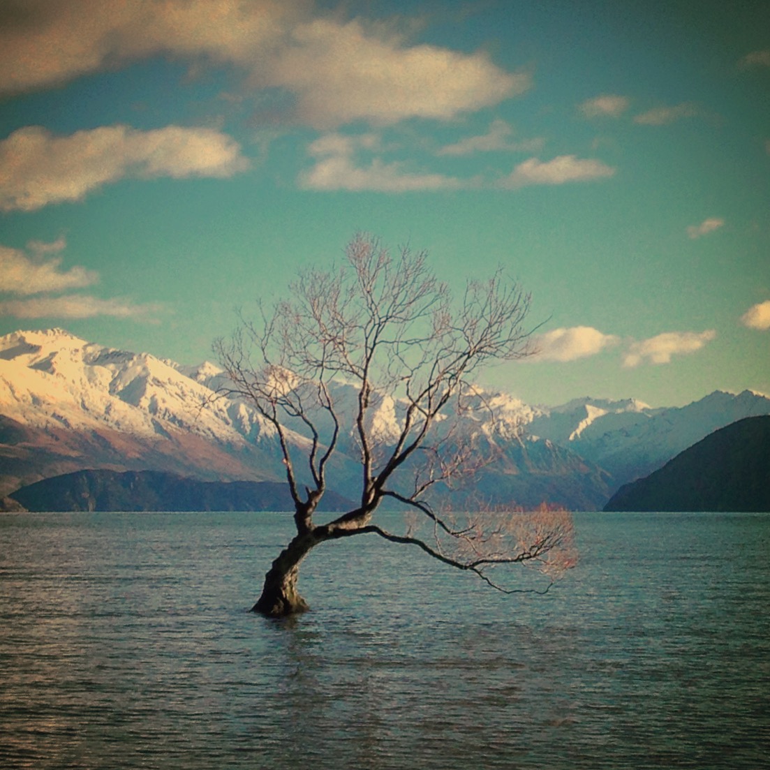 Hike along Wanaka's Waterfall Creek Track
