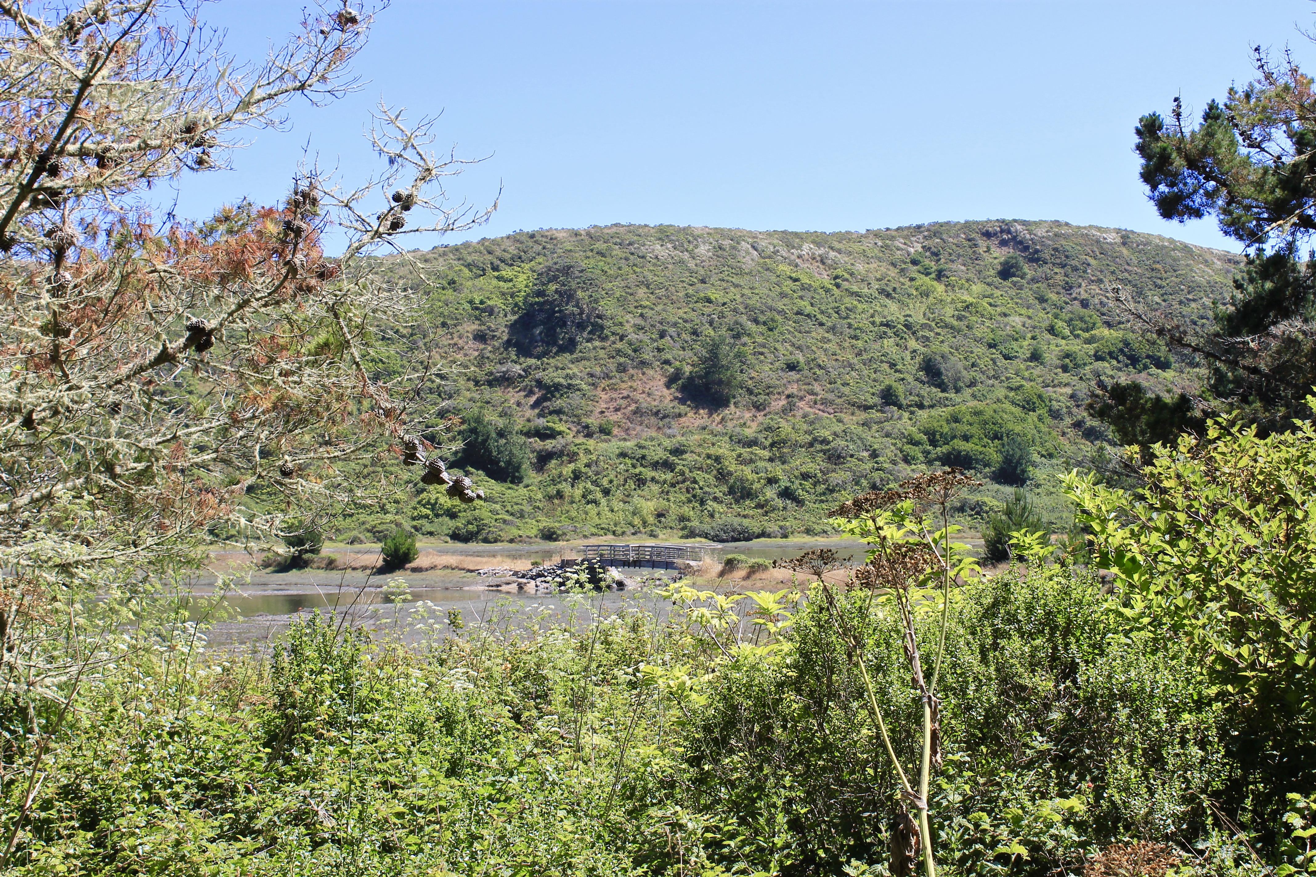 Estero Trail to Drake's Estero