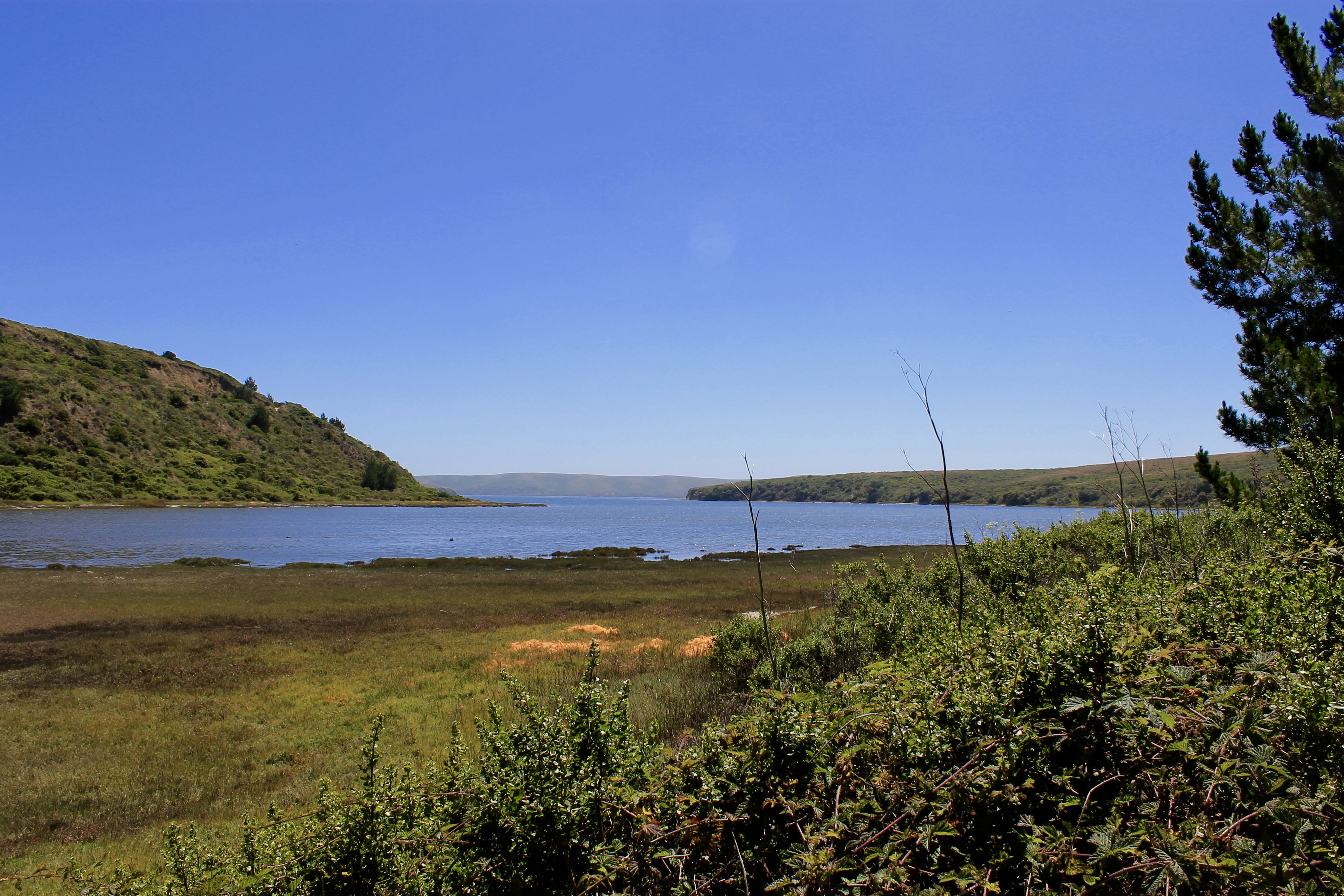 Estero Trail to Drake's Estero