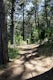 Hike the Estero Trail