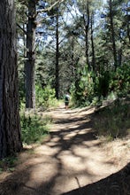 Hike the Estero Trail