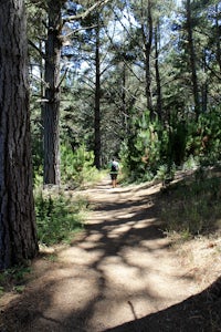 Estero Trail to Drake's Estero