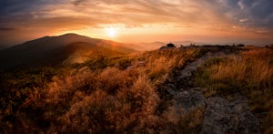 Jane Bald via Appalachian Trail