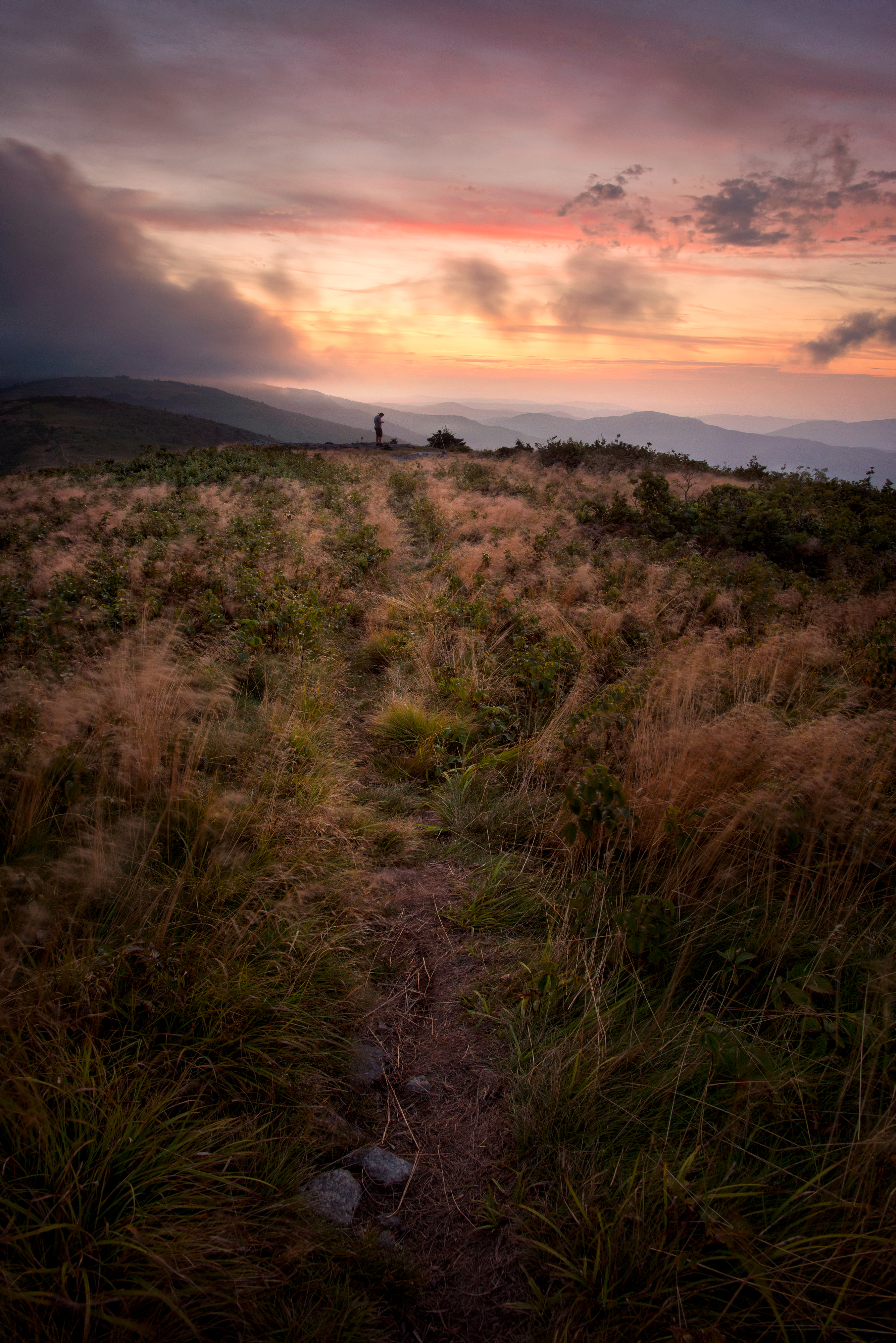 Jane Bald via Appalachian Trail