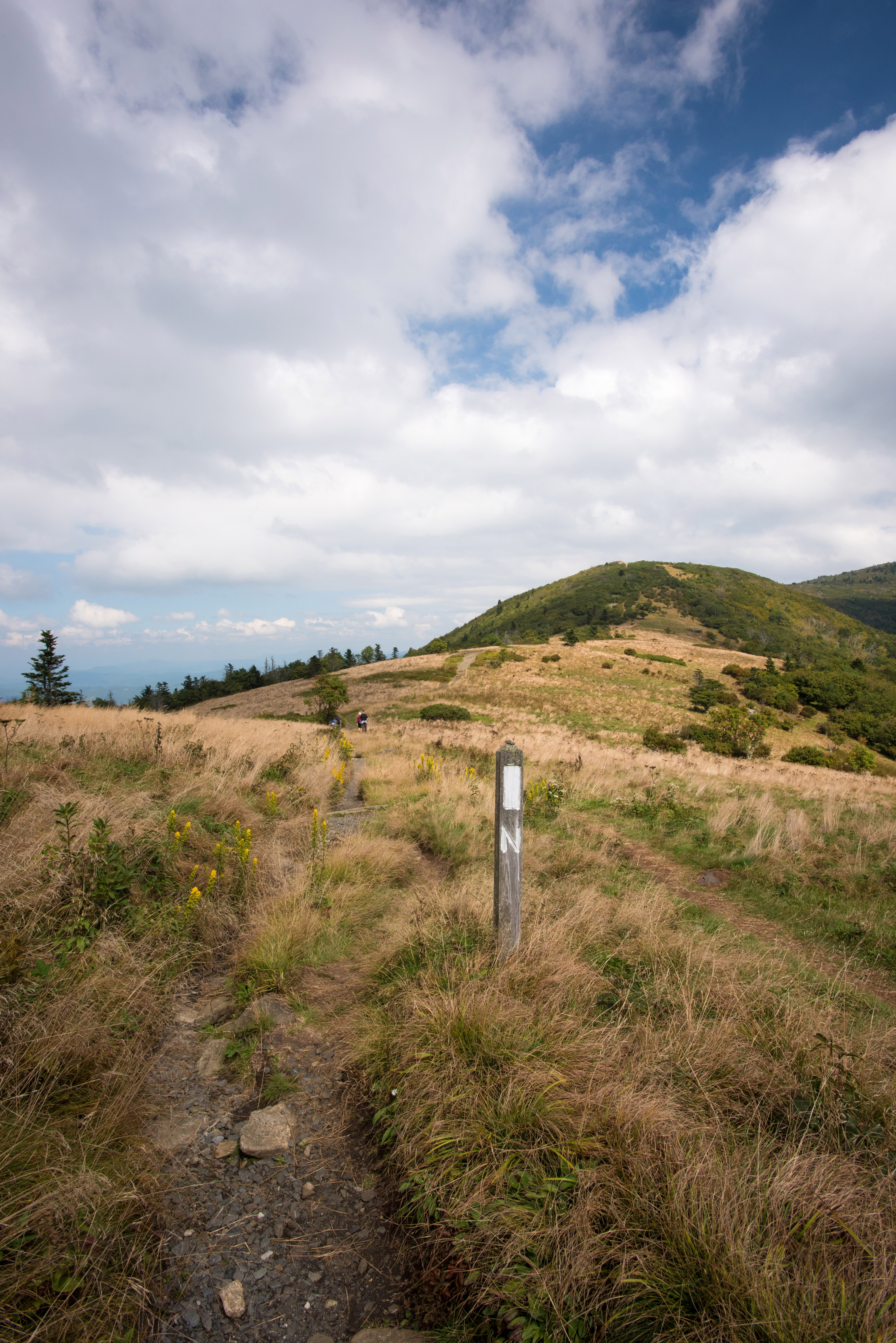 Jane Bald via Appalachian Trail