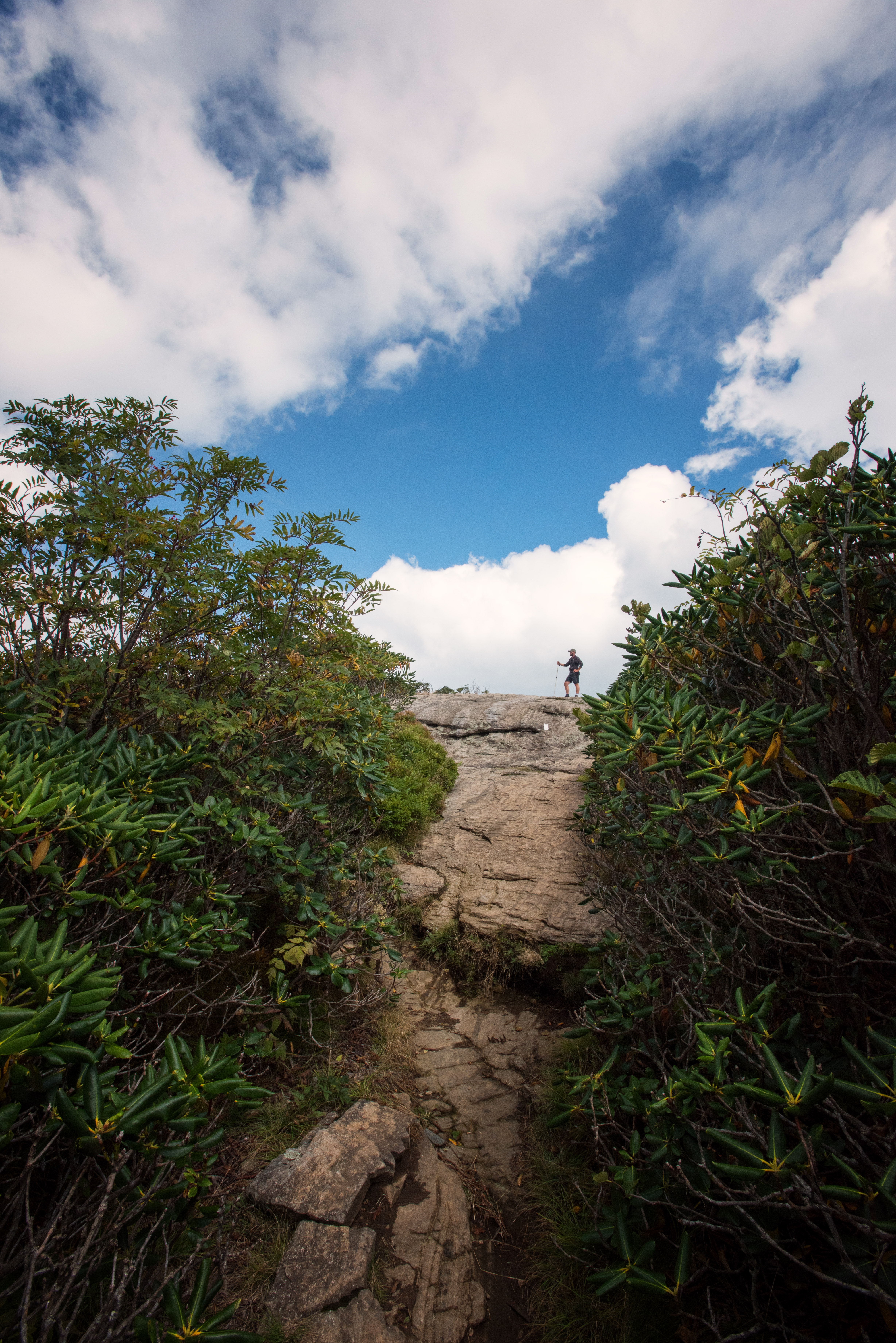 Jane Bald via Appalachian Trail