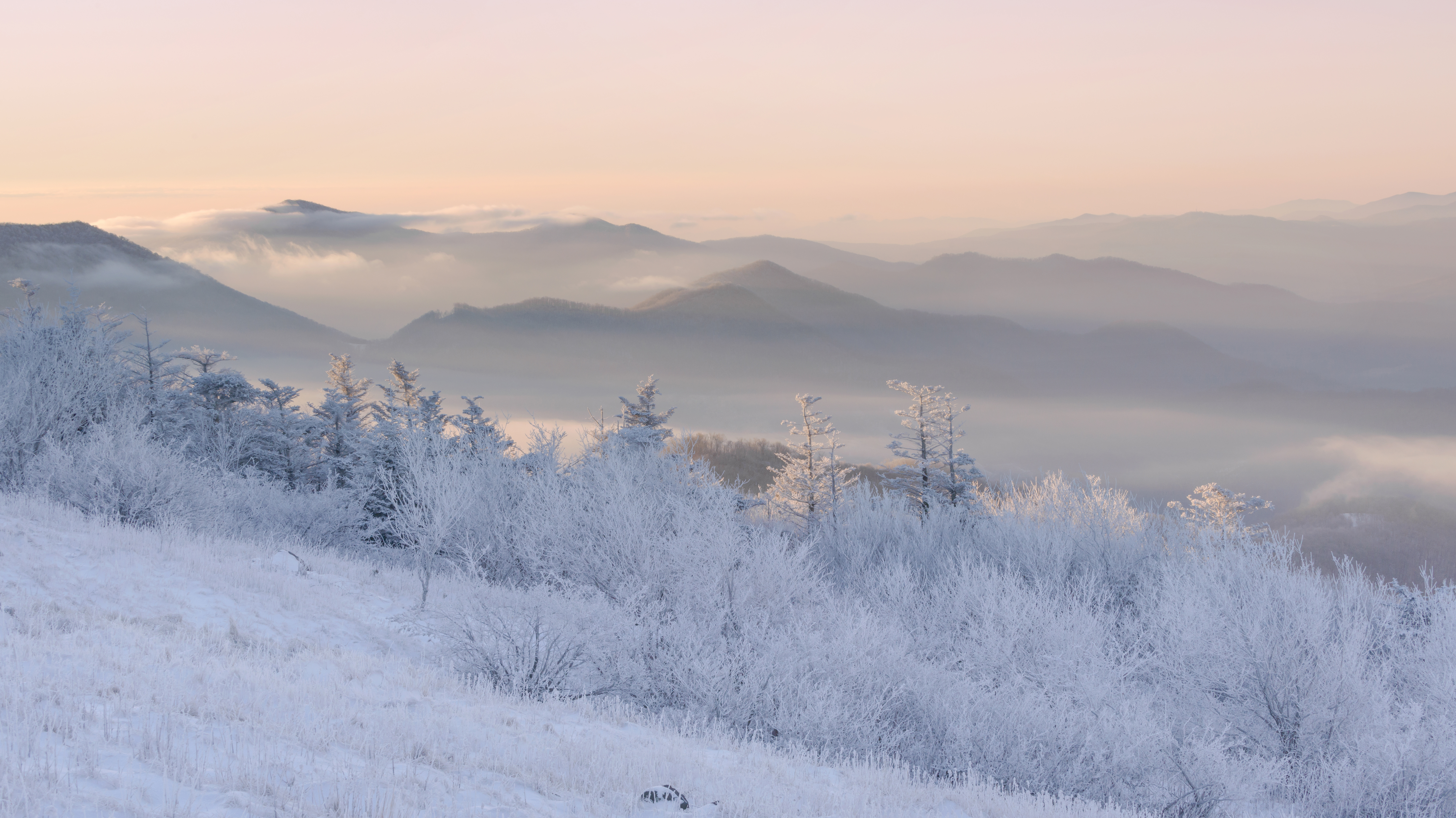 Jane Bald via Appalachian Trail