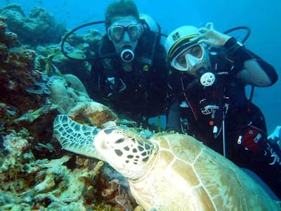 Scuba Dive Sipadan Island in Malaysia
