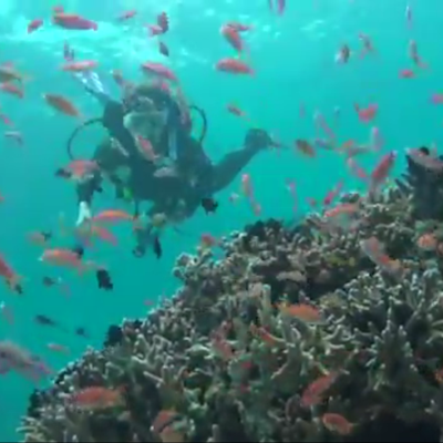 Scuba Dive Sipadan Island in Malaysia