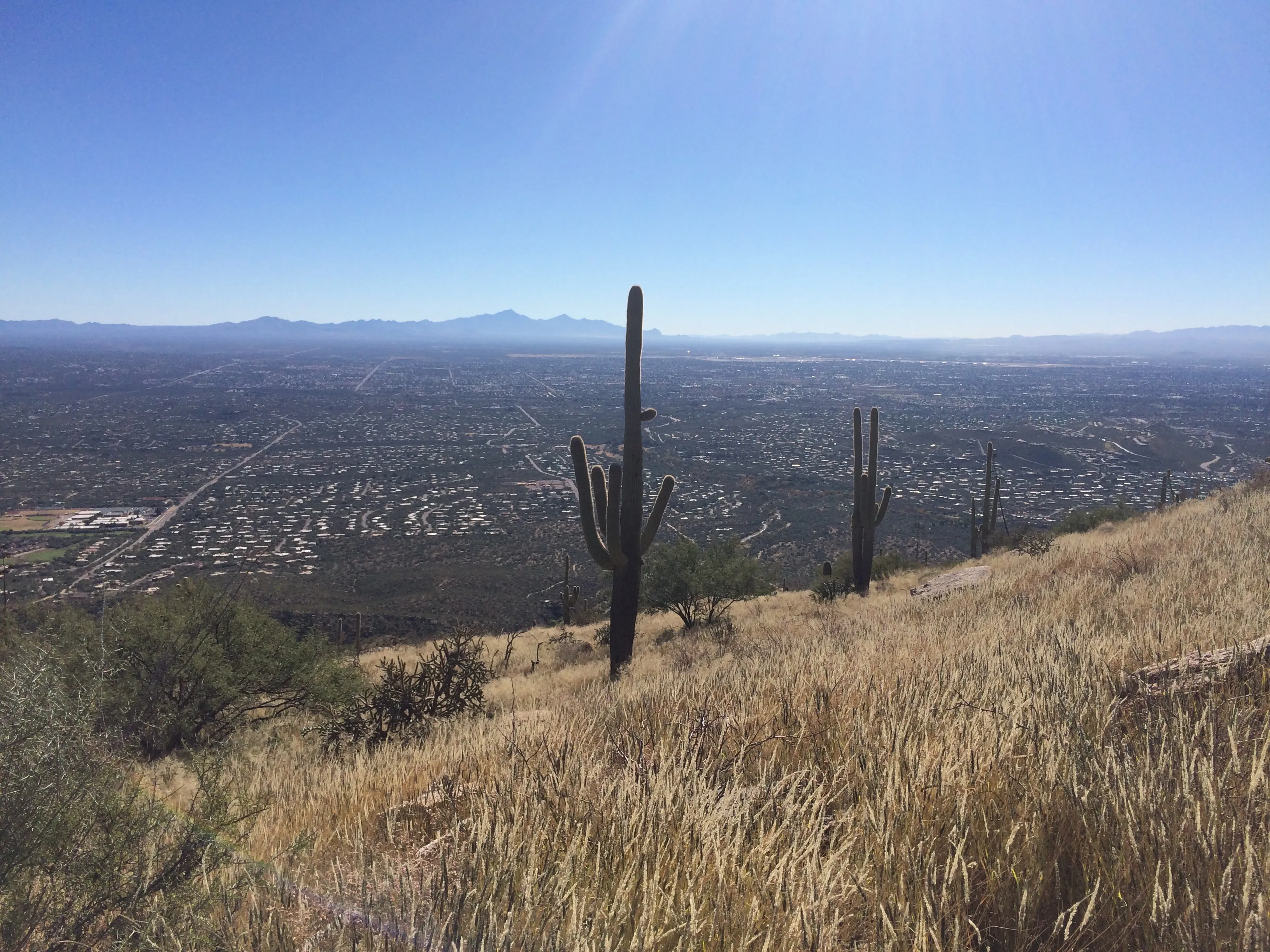 Hike Blackette's Ridge