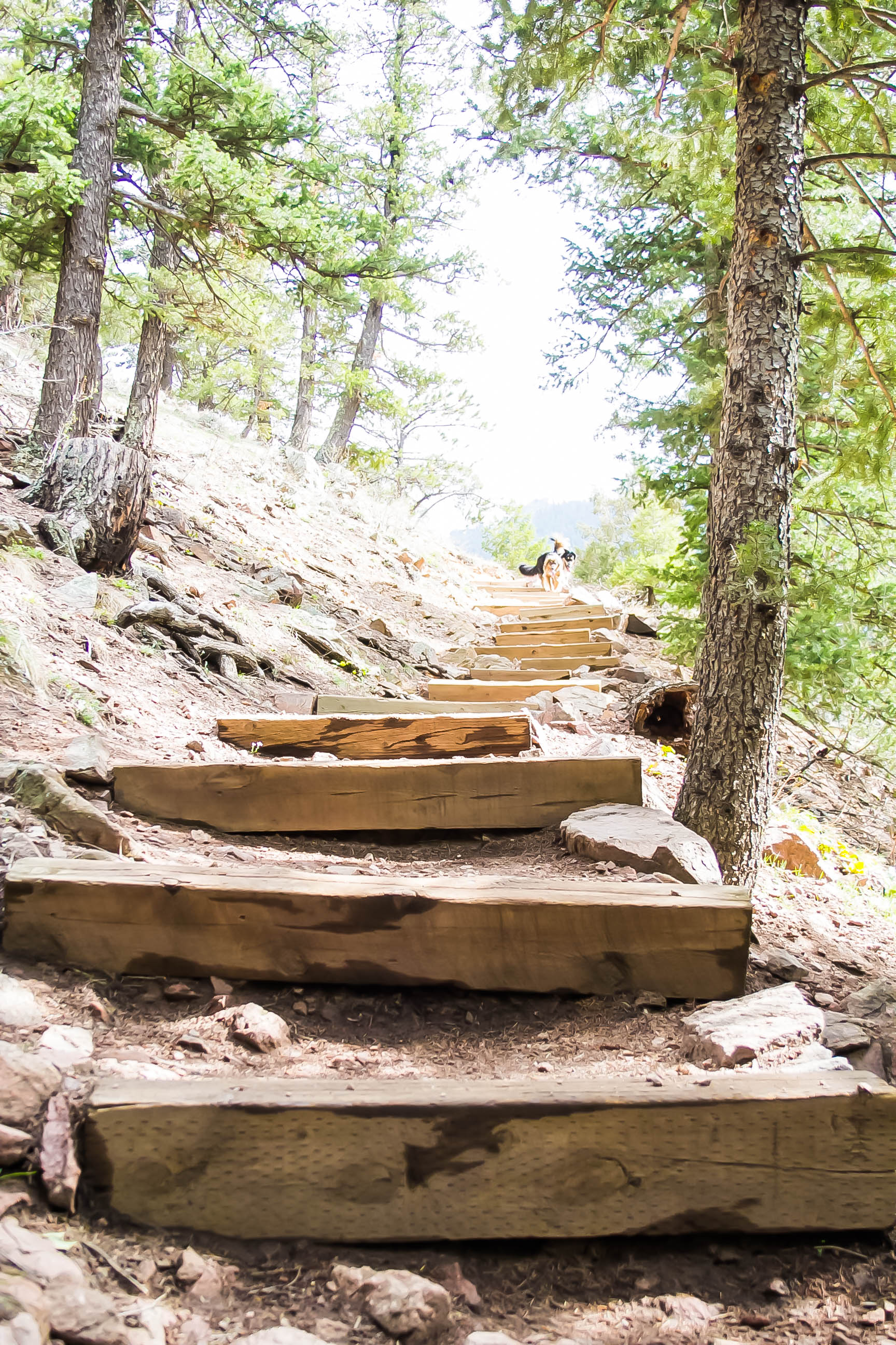 Hike the Eldorado Canyon Trail