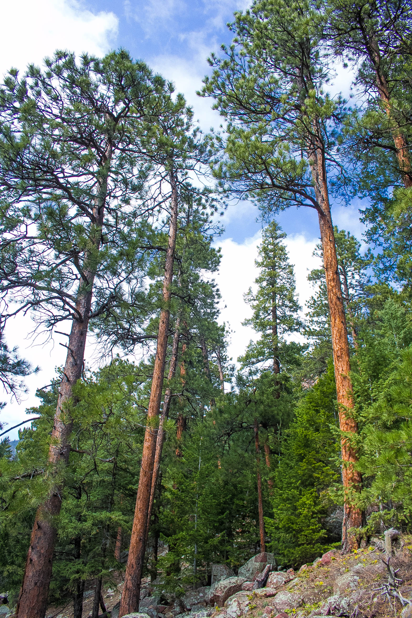 Hike the Eldorado Canyon Trail