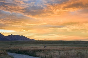 Hike the Flatirons Vista Loop Trail