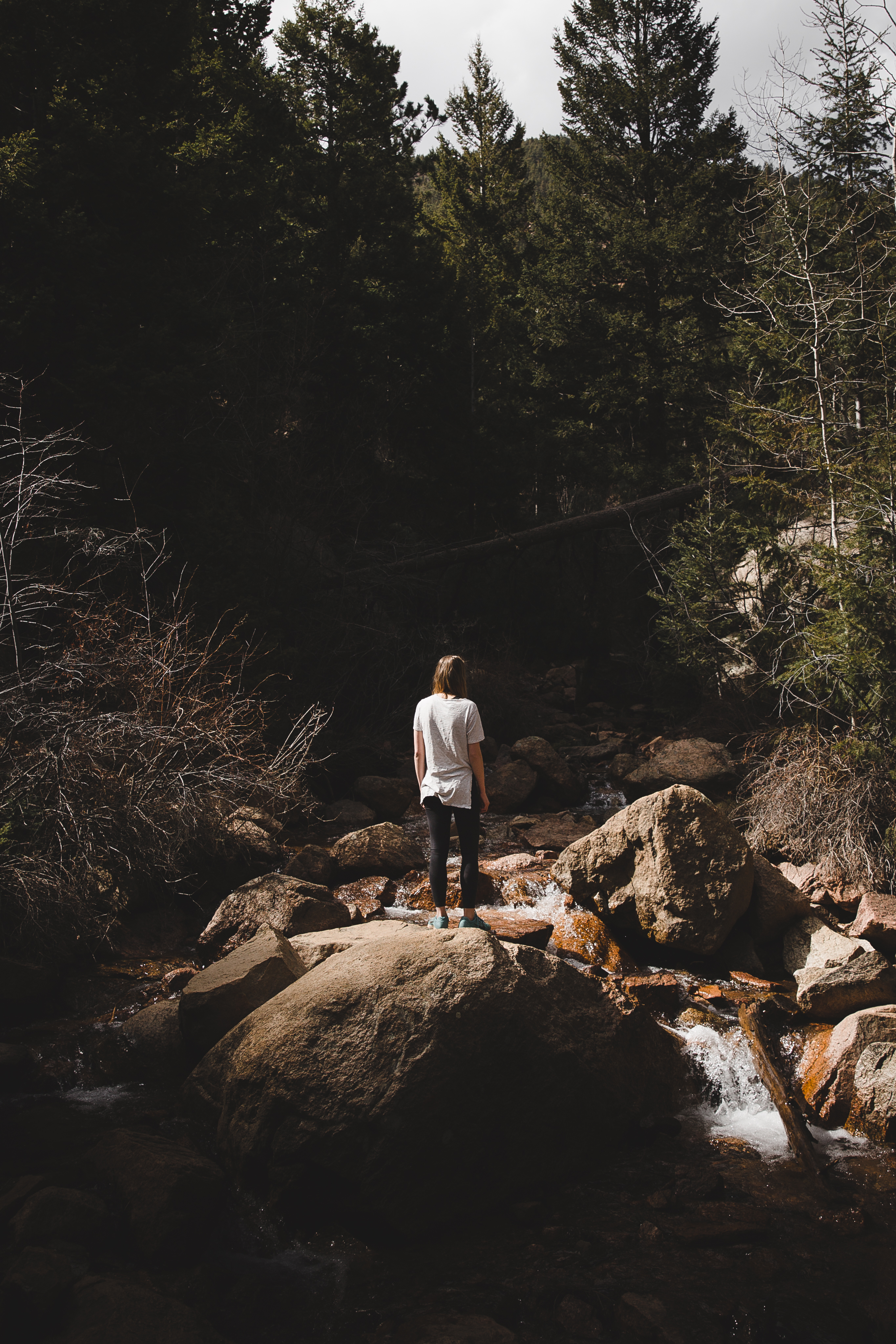 Seven Bridges Trail