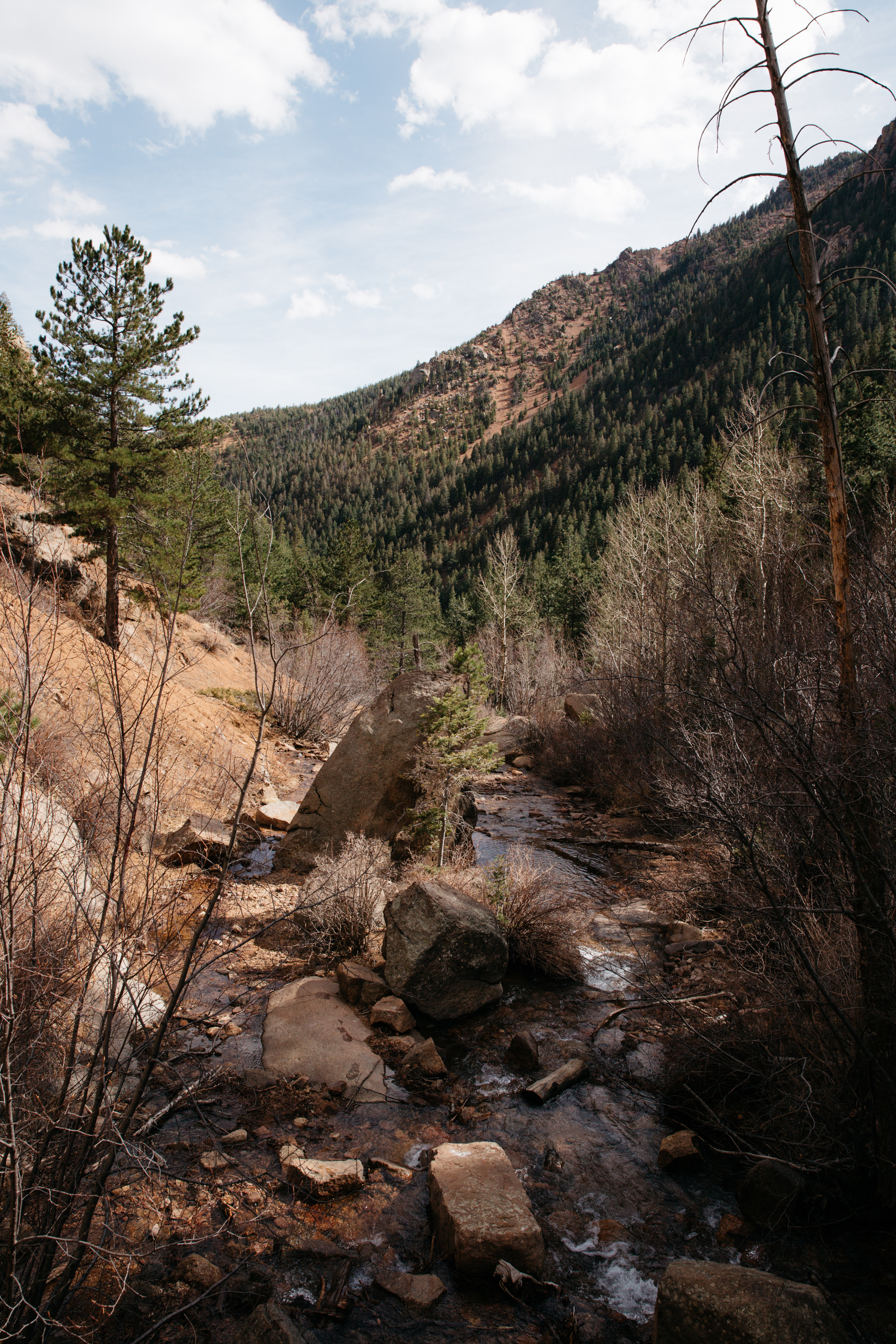 Seven Bridges Trail