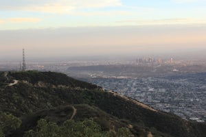 HIke the Brand Library Loop