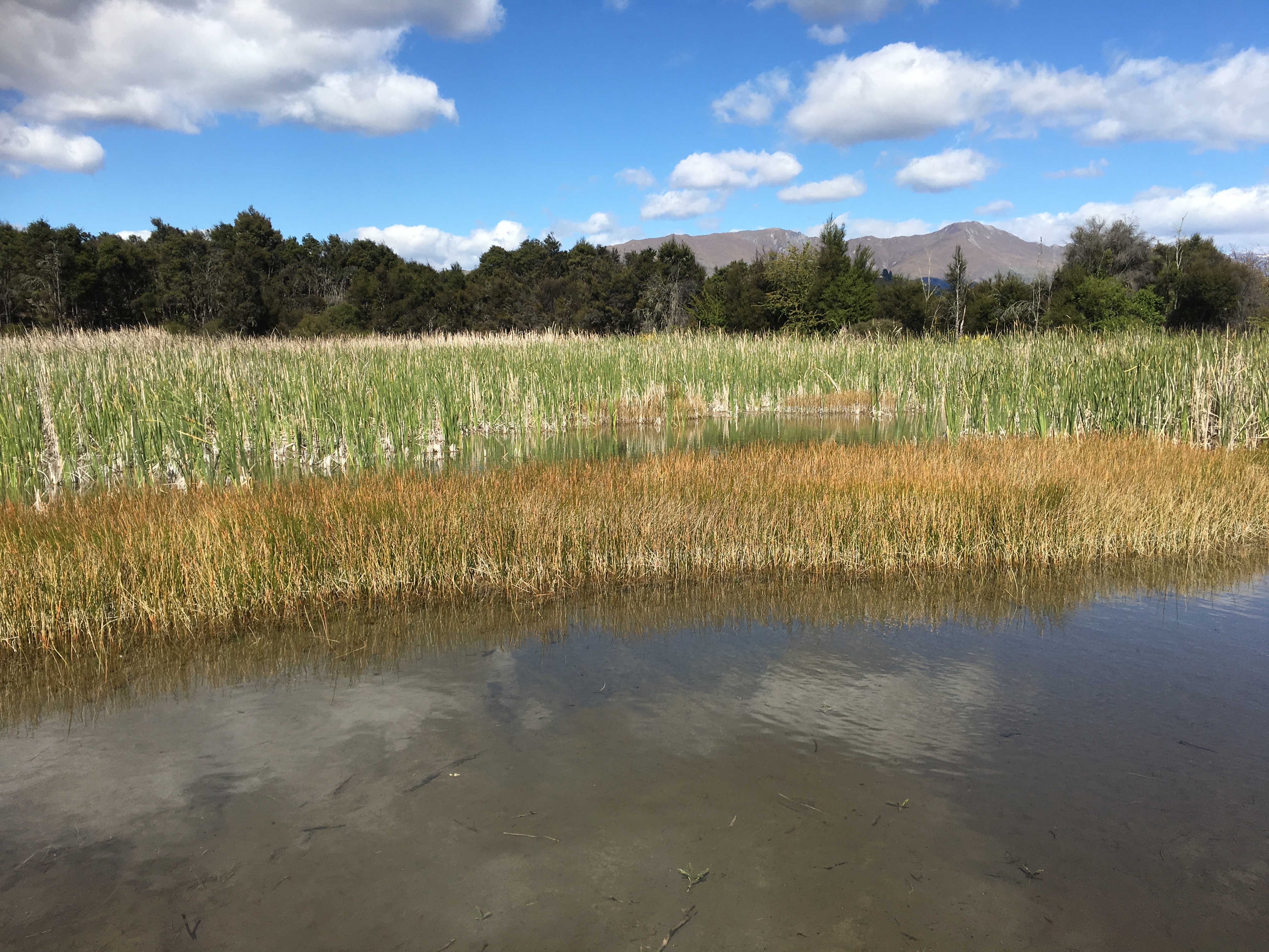 Bike along the Clutha River