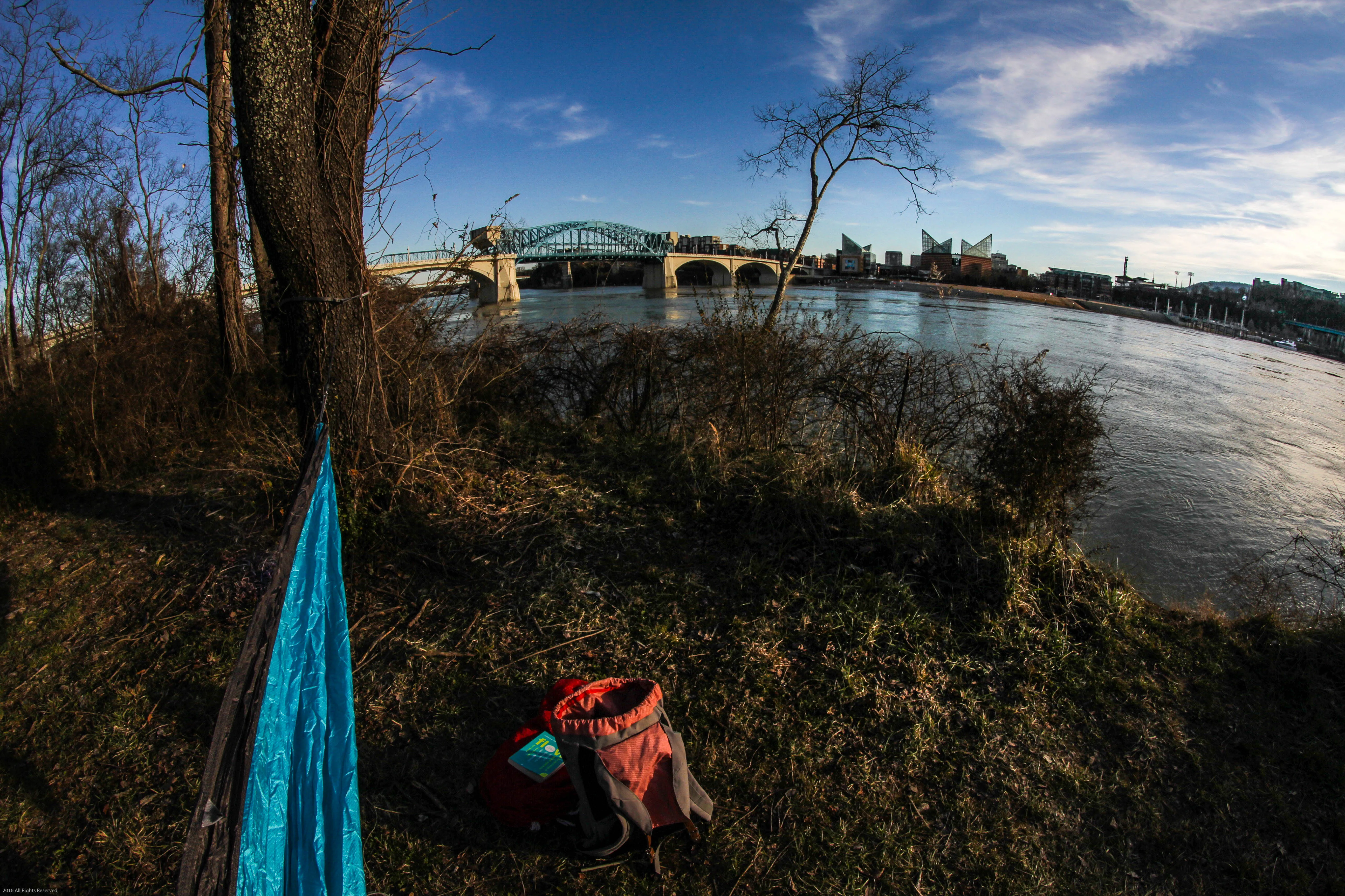 Park Day at Renaissance Park