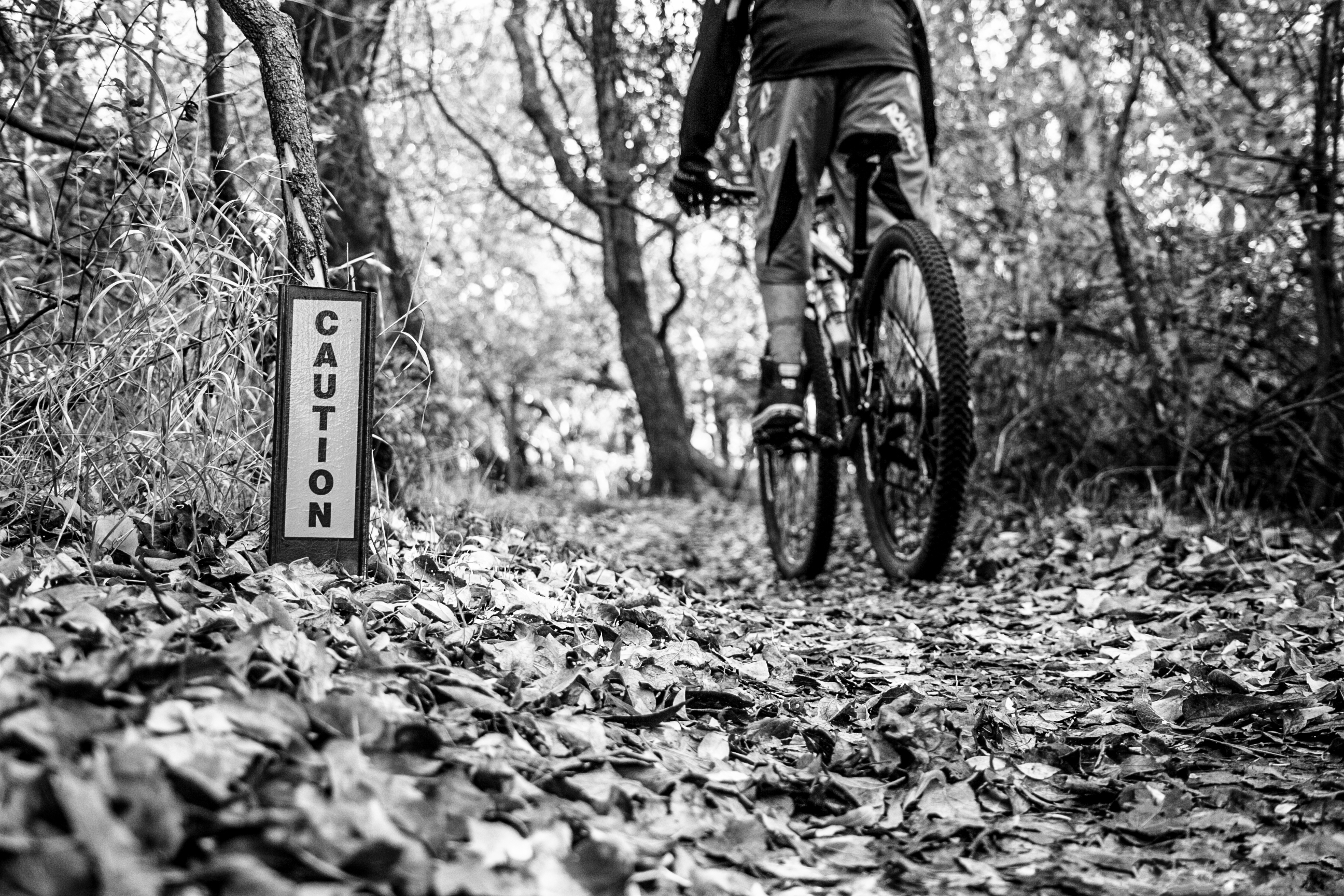 Bike the Bluff Creek Trails