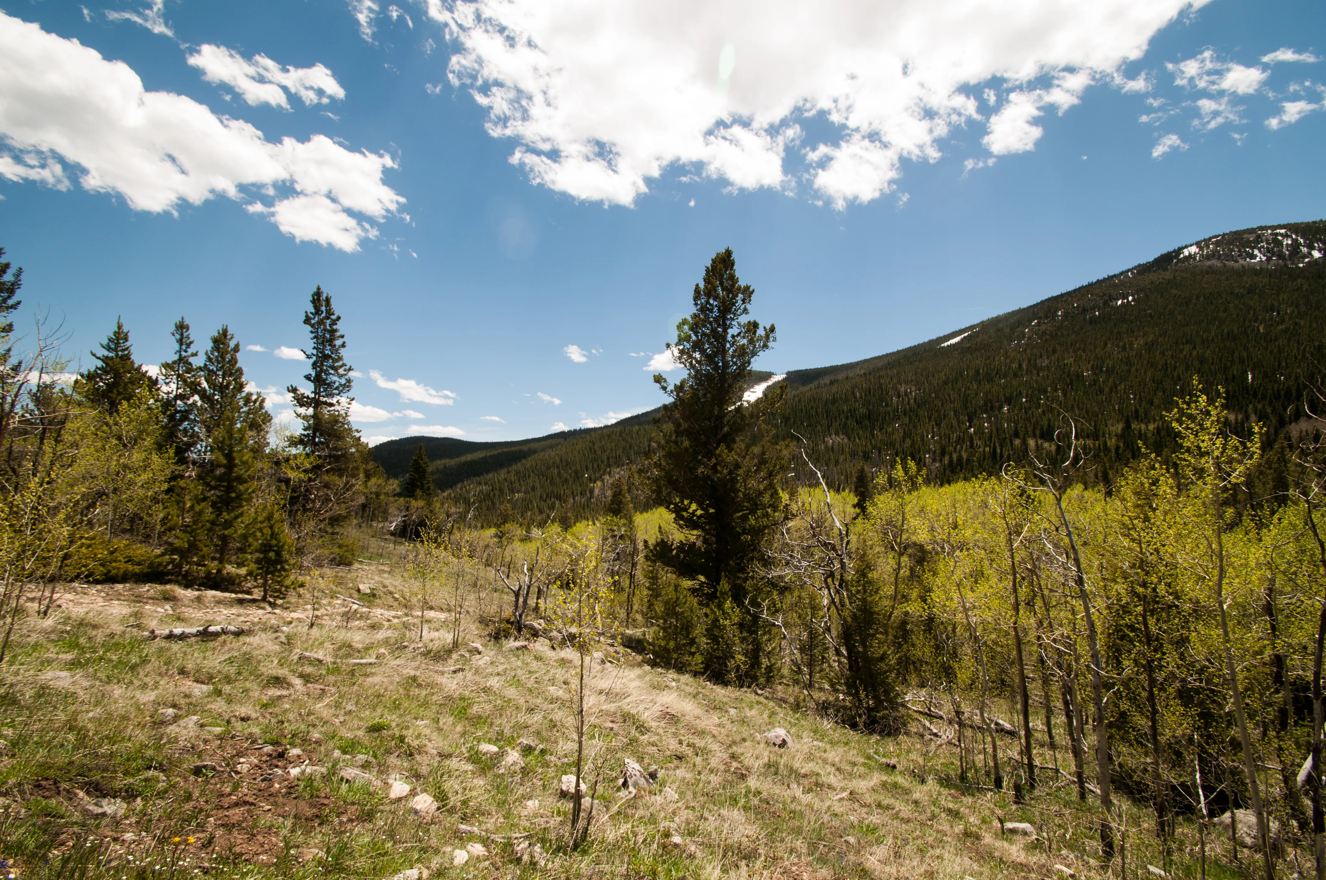Hike to Lost Lake in the Indian Peaks Wilderness