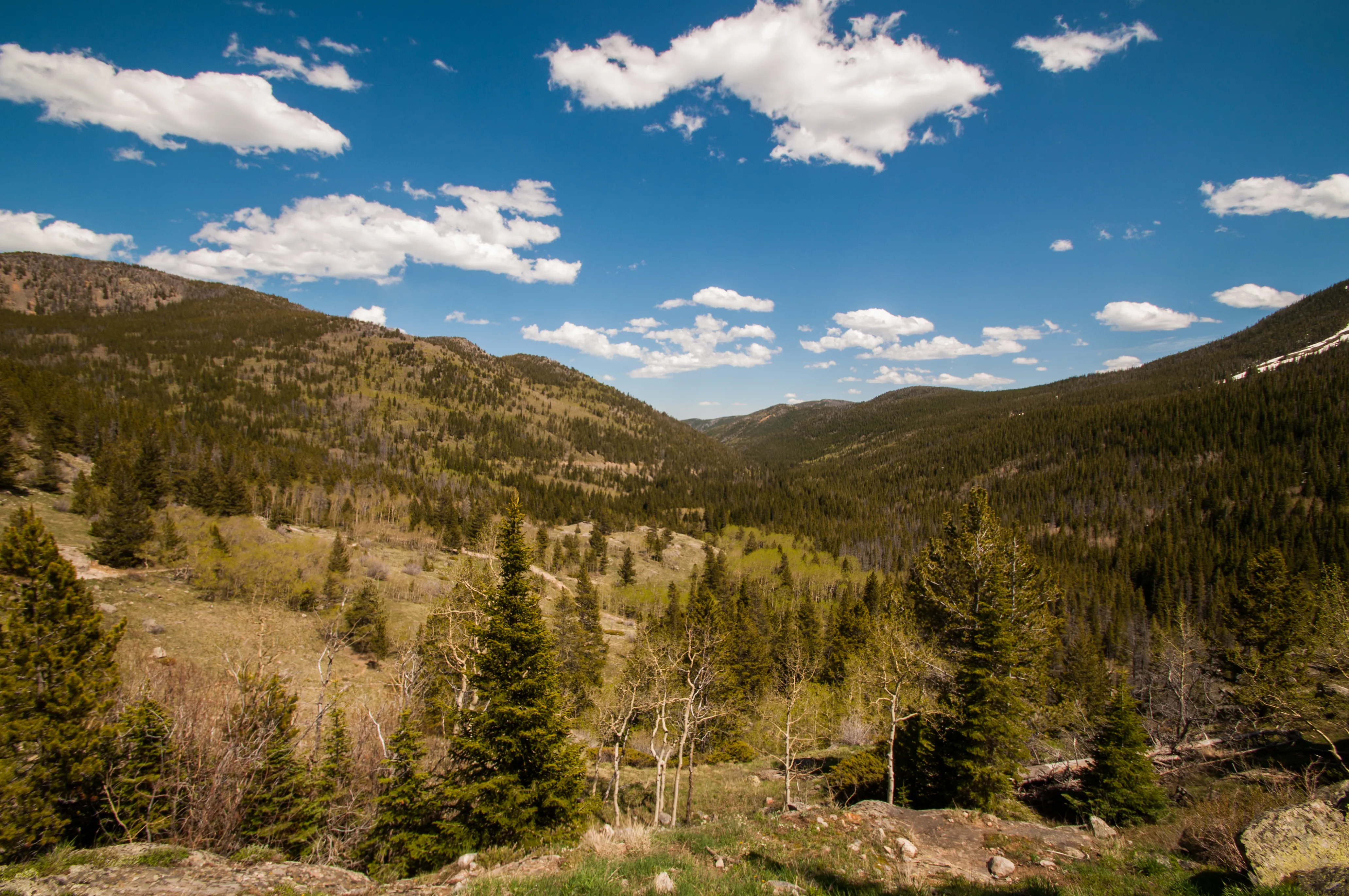 Hike to Lost Lake in the Indian Peaks Wilderness