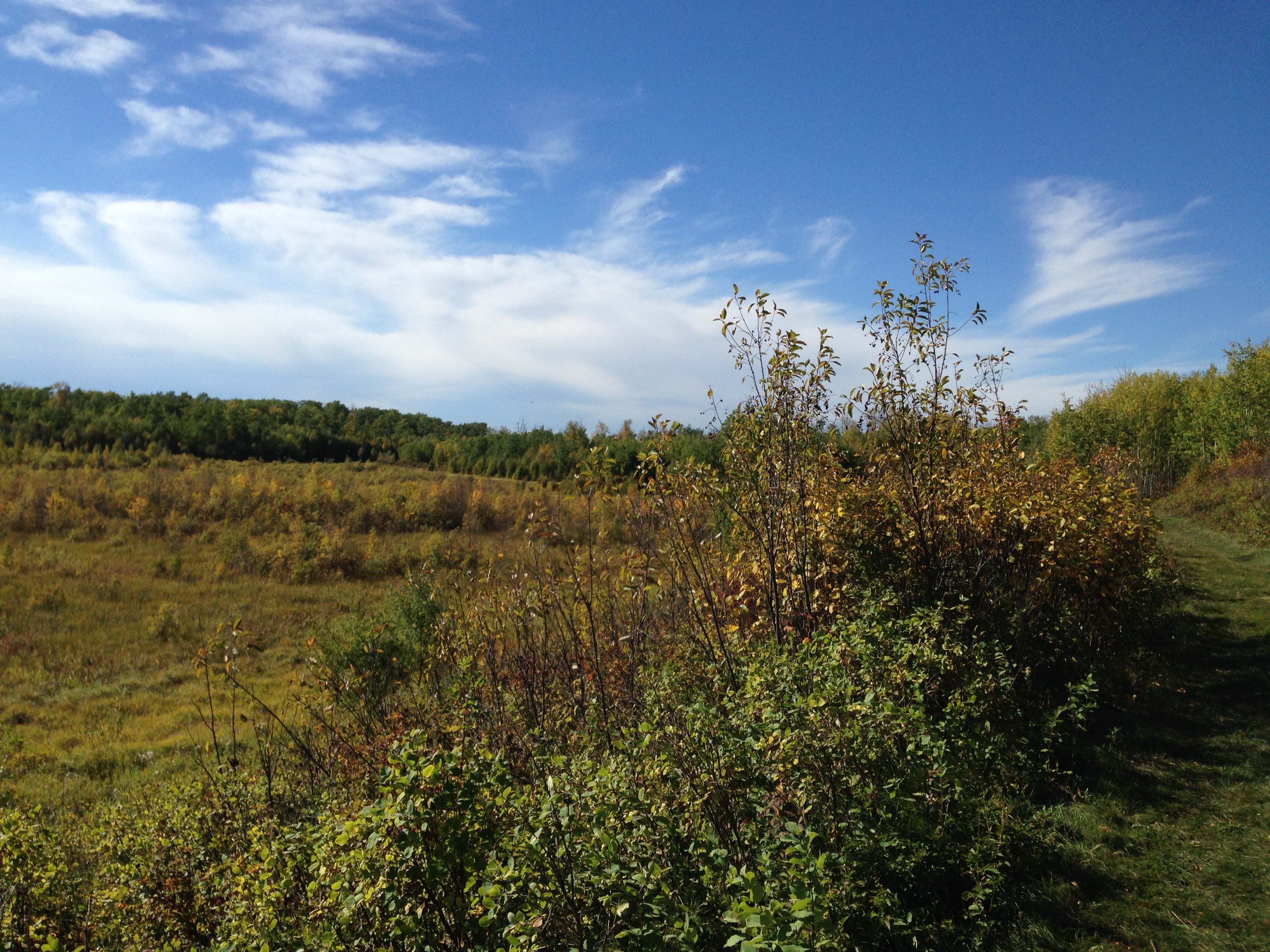 Bike Elk Island's Moss Lake Trail